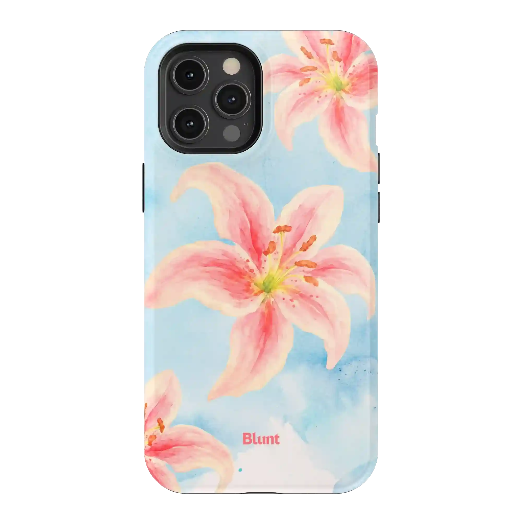bluntcasesus.it.com