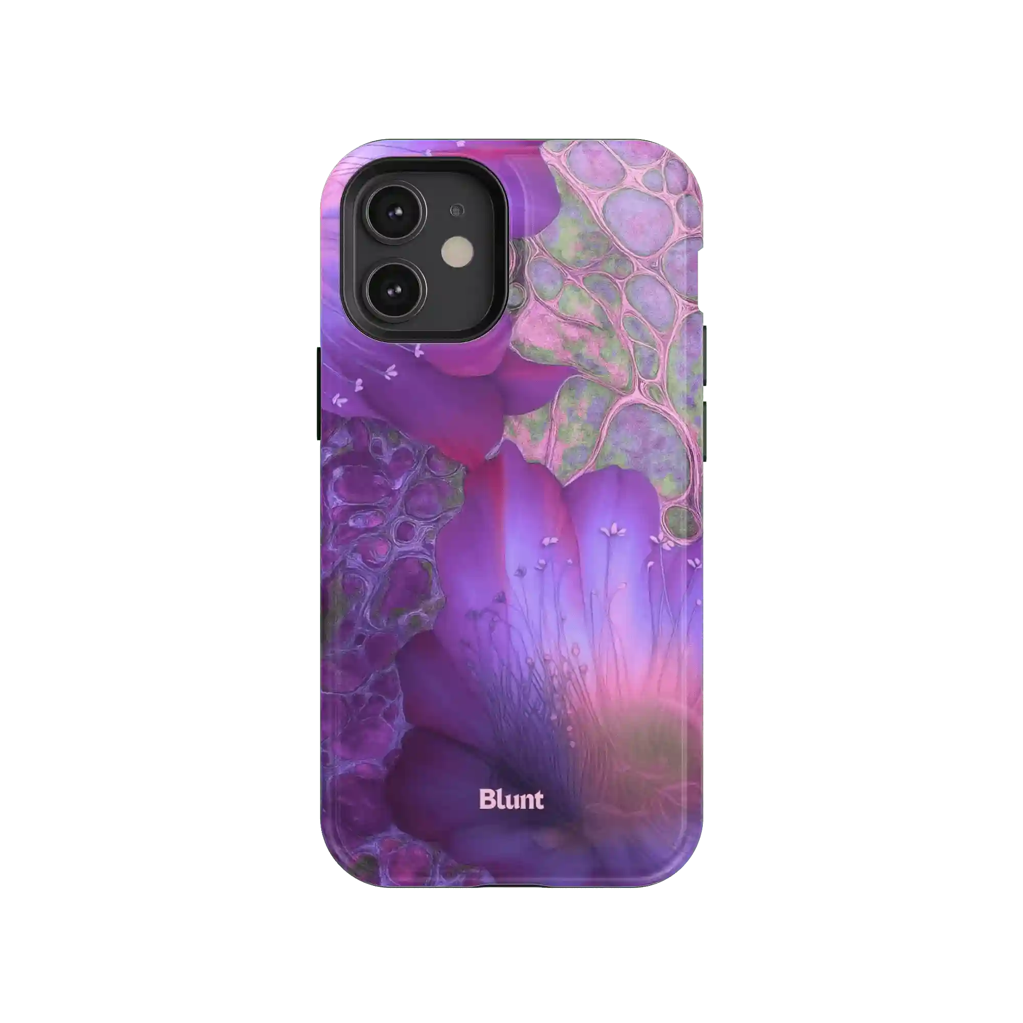 bluntcasesus.it.com