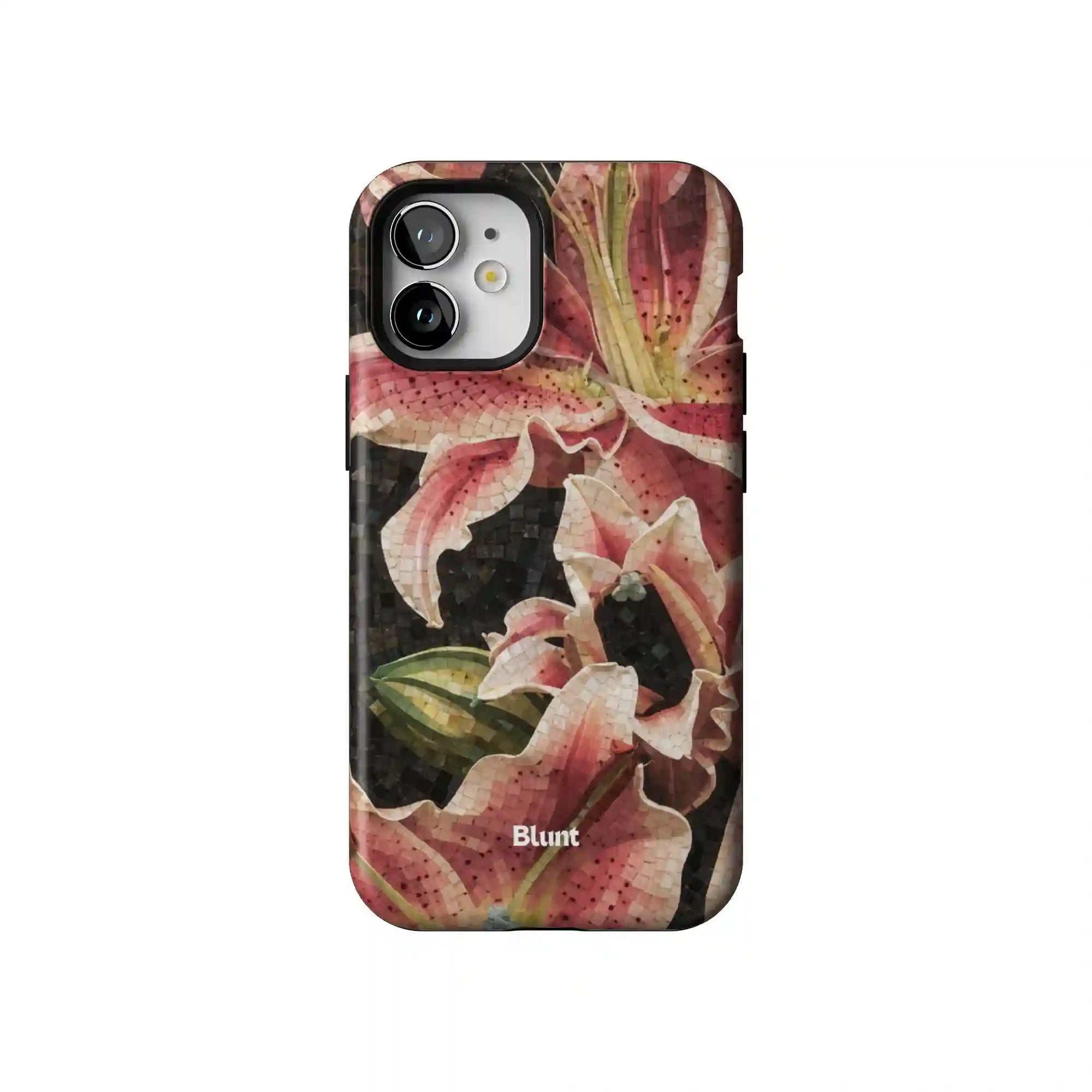 bluntcasesus.it.com