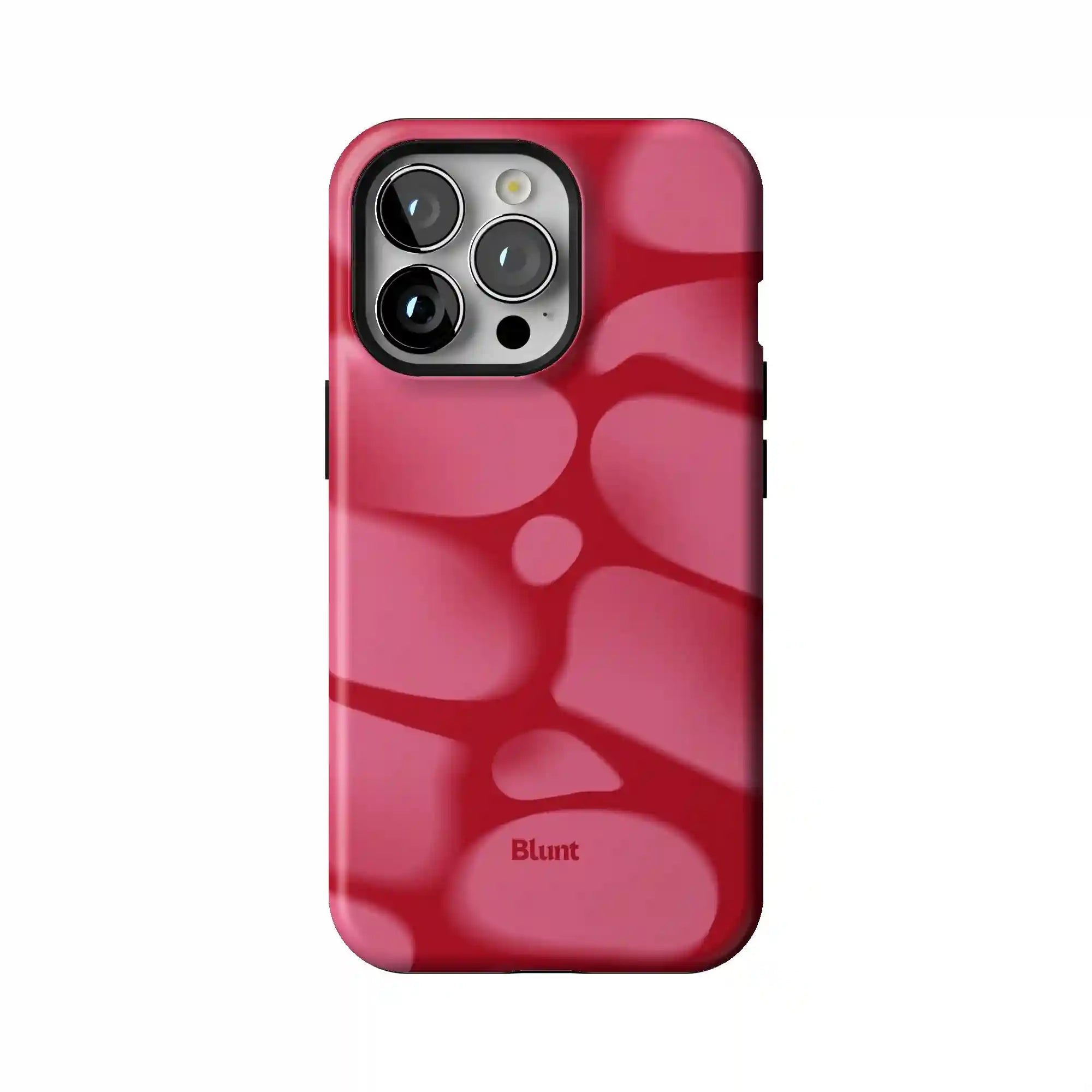 bluntcasesus.it.com