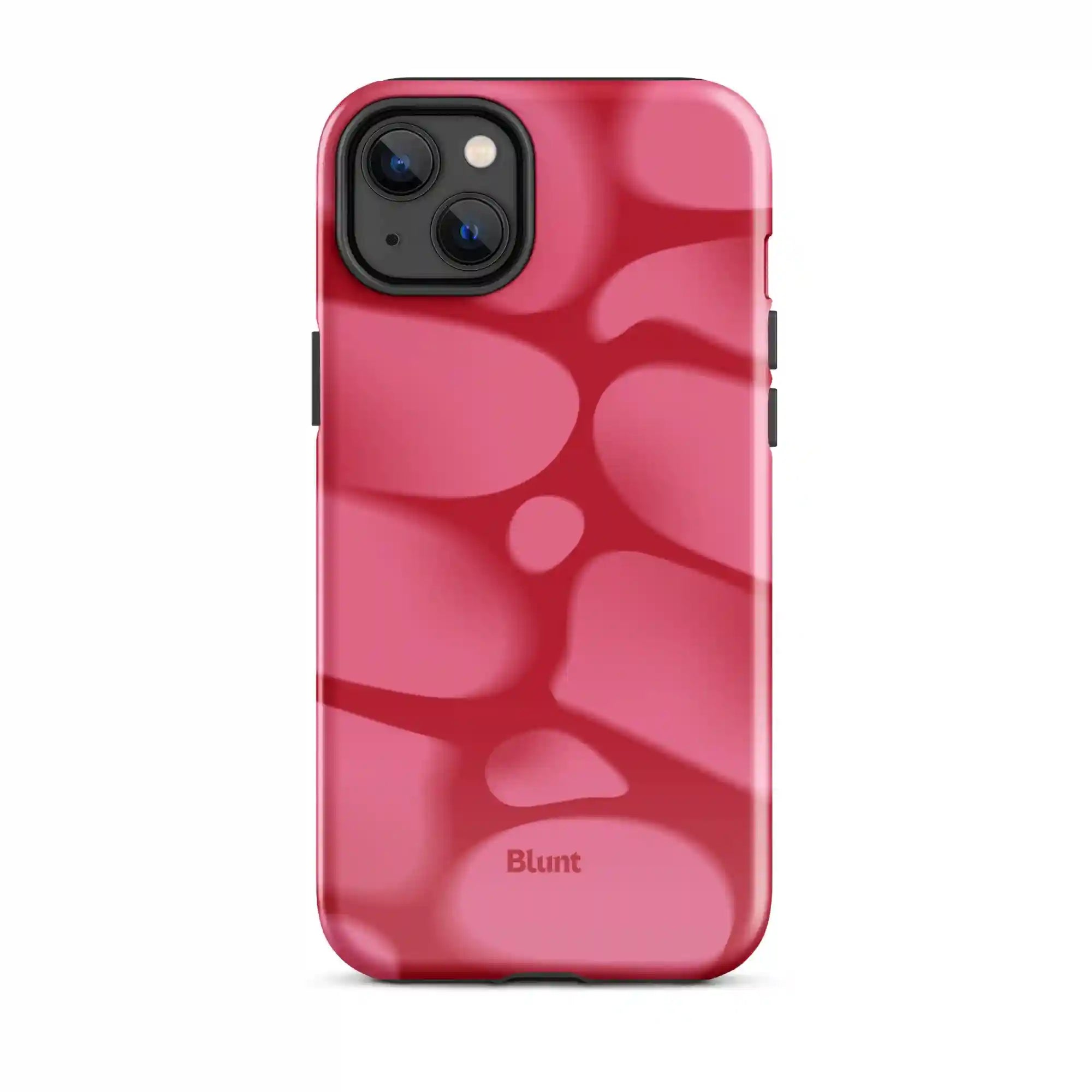 bluntcasesus.it.com