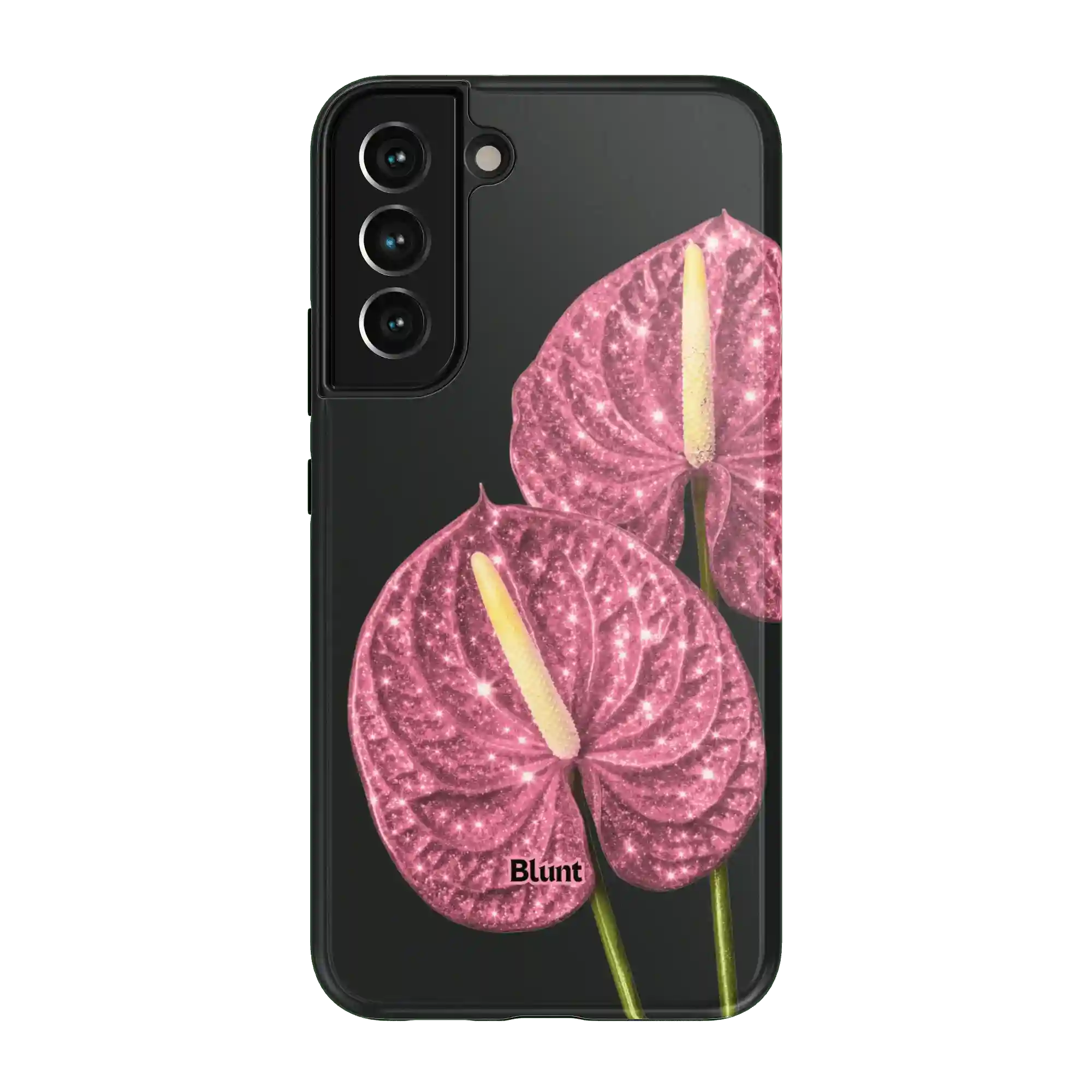 bluntcasesus.it.com