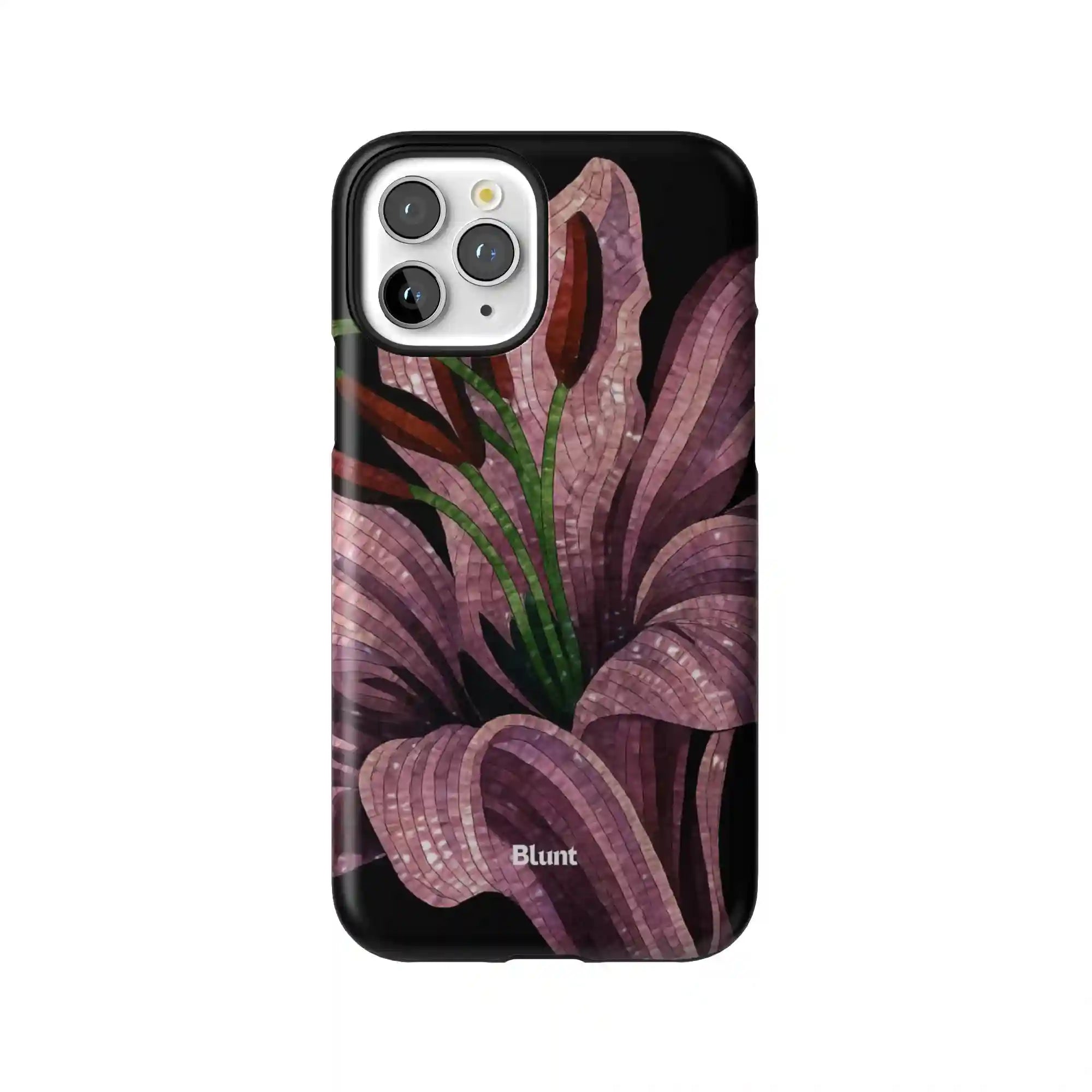 bluntcasesus.it.com