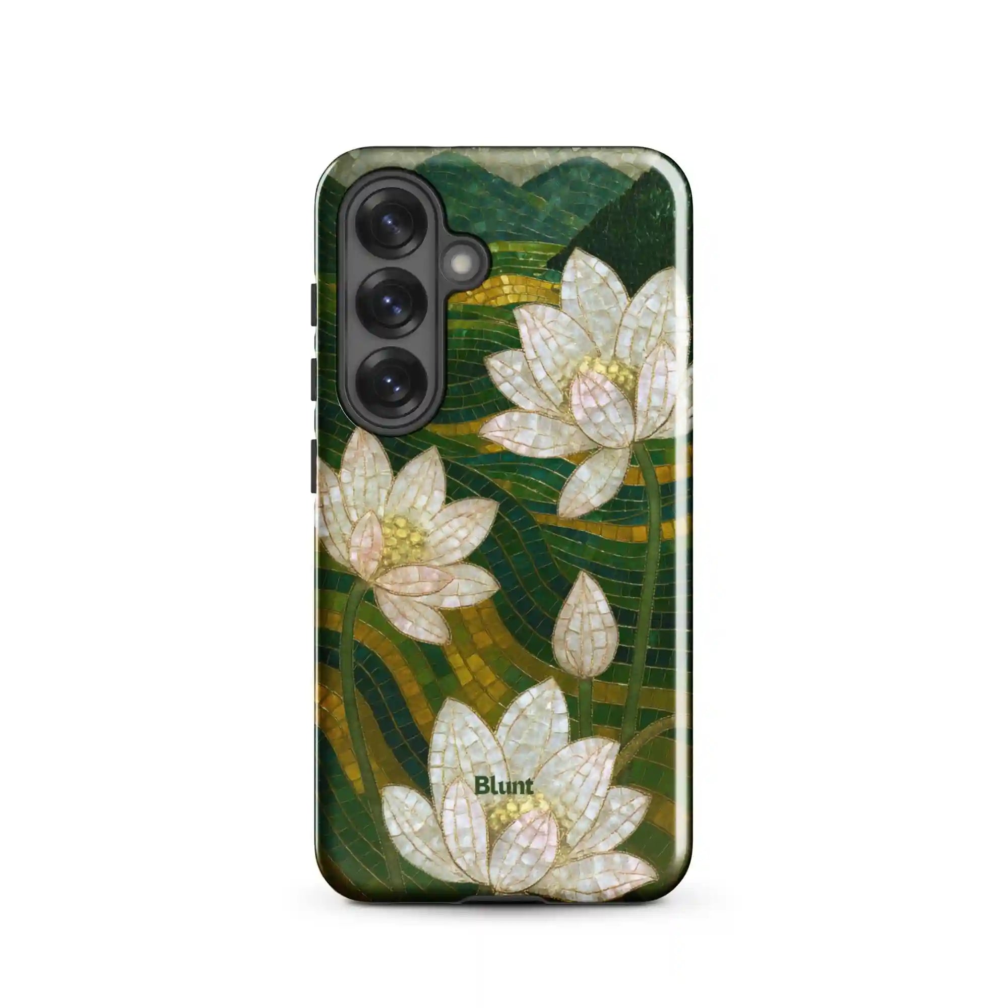 bluntcasesus.it.com