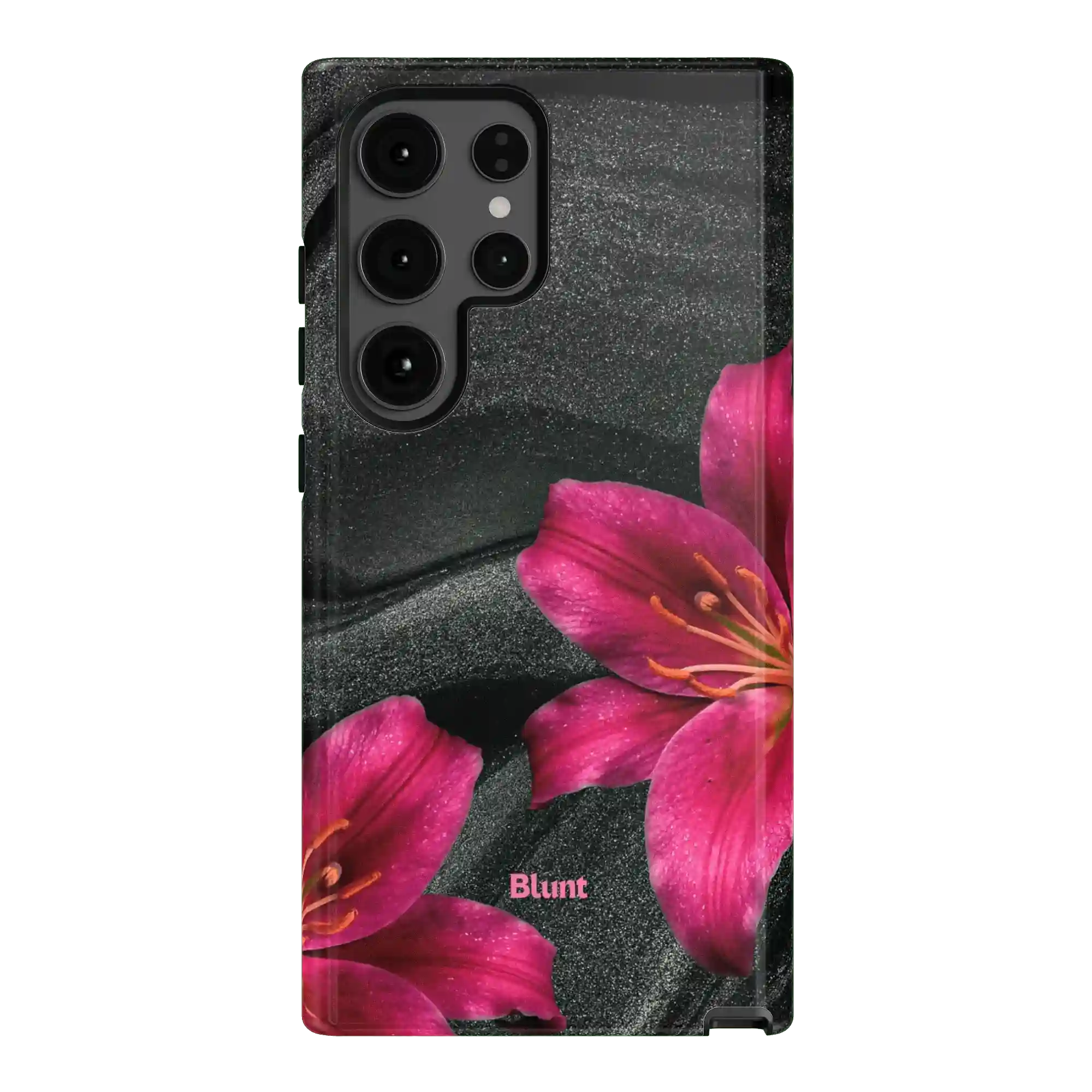 bluntcasesus.it.com