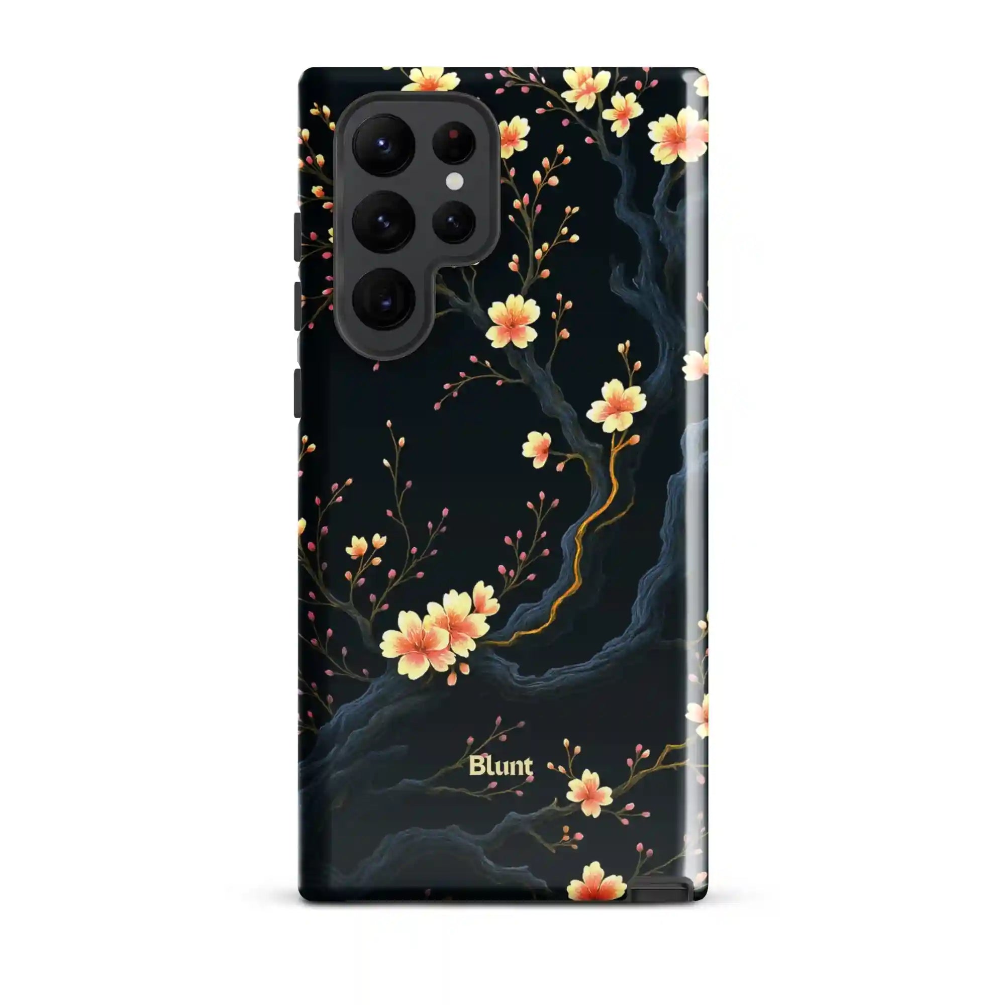 bluntcasesus.it.com