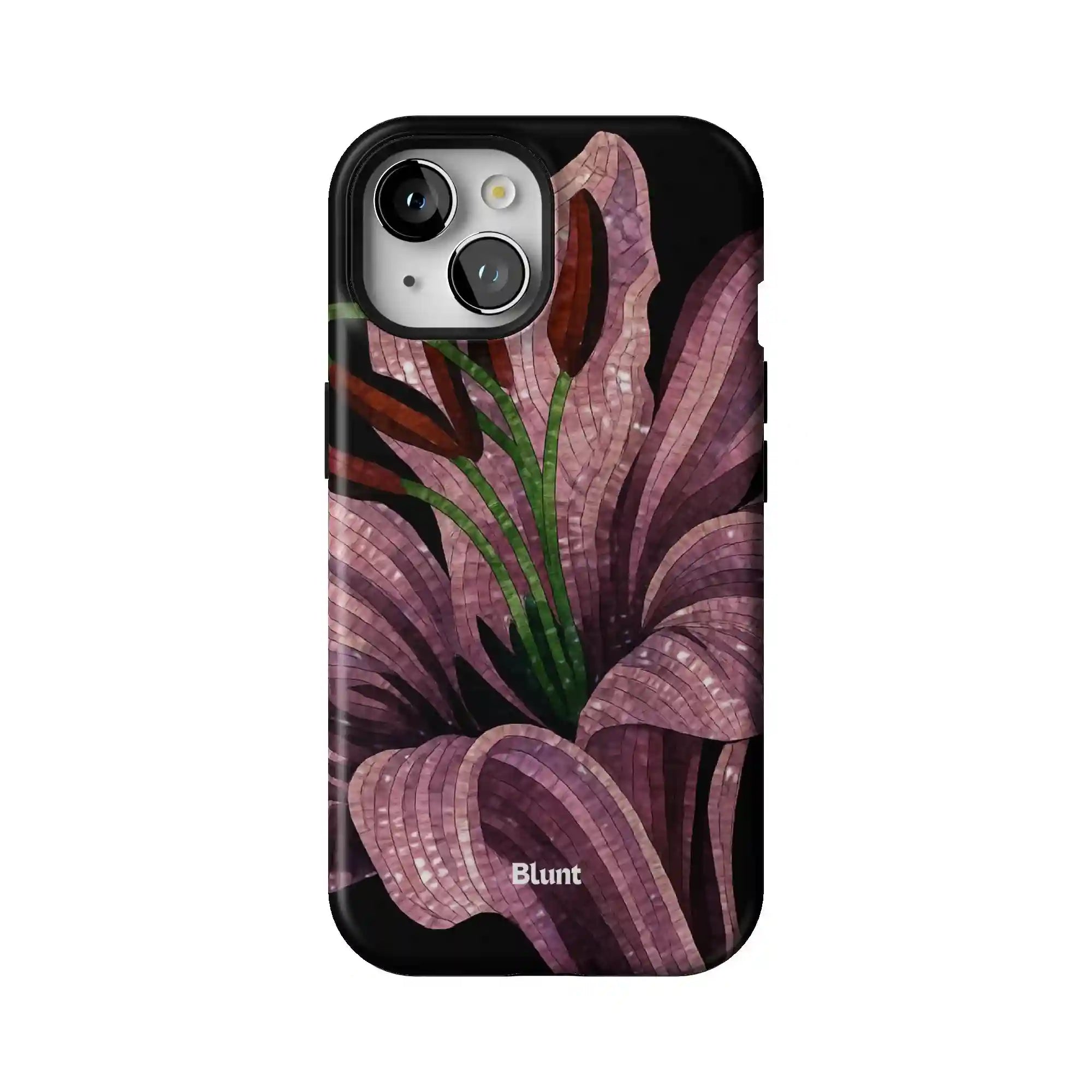 bluntcasesus.it.com