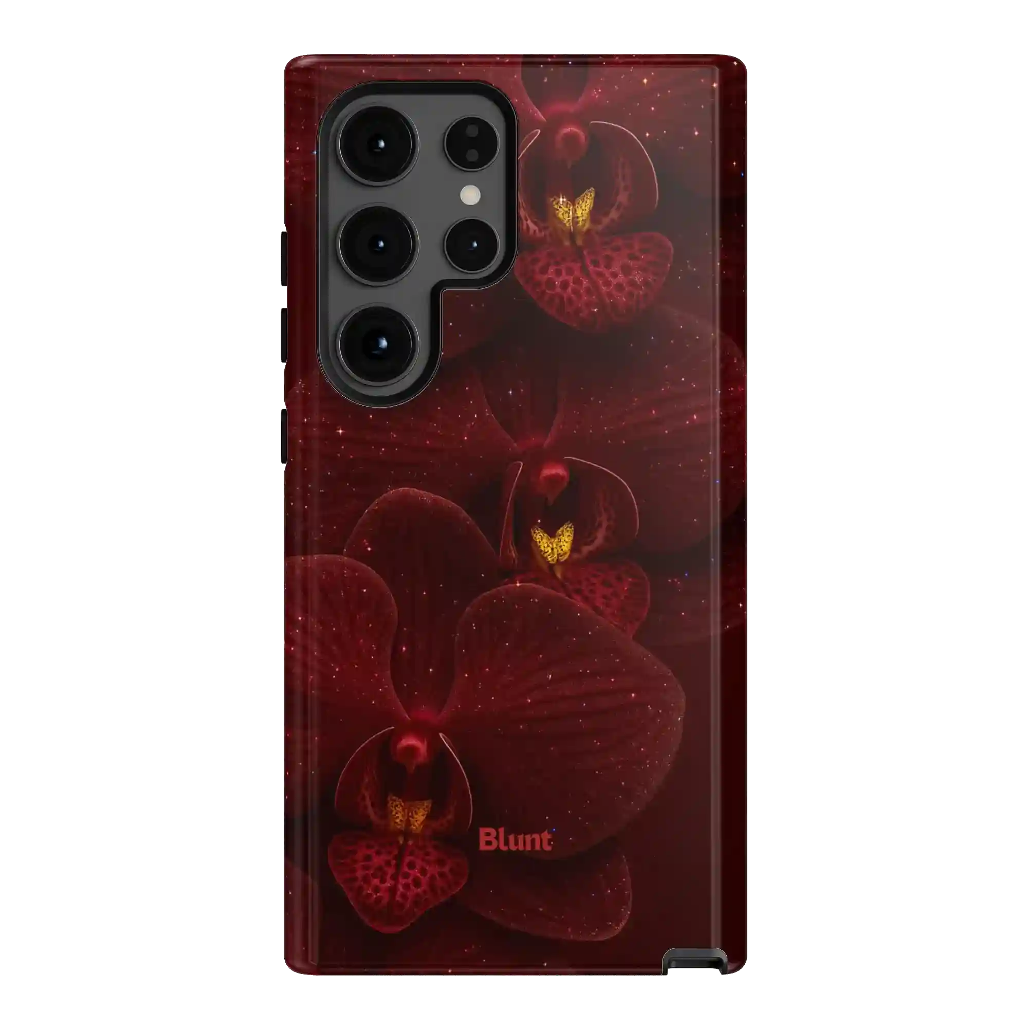 bluntcasesus.it.com