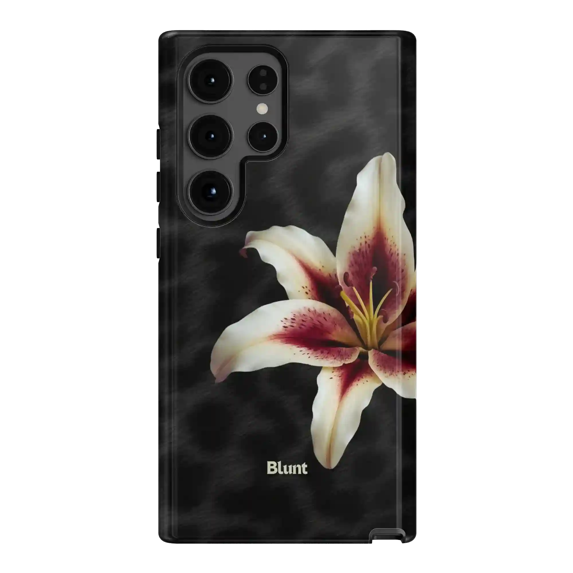 bluntcasesus.it.com