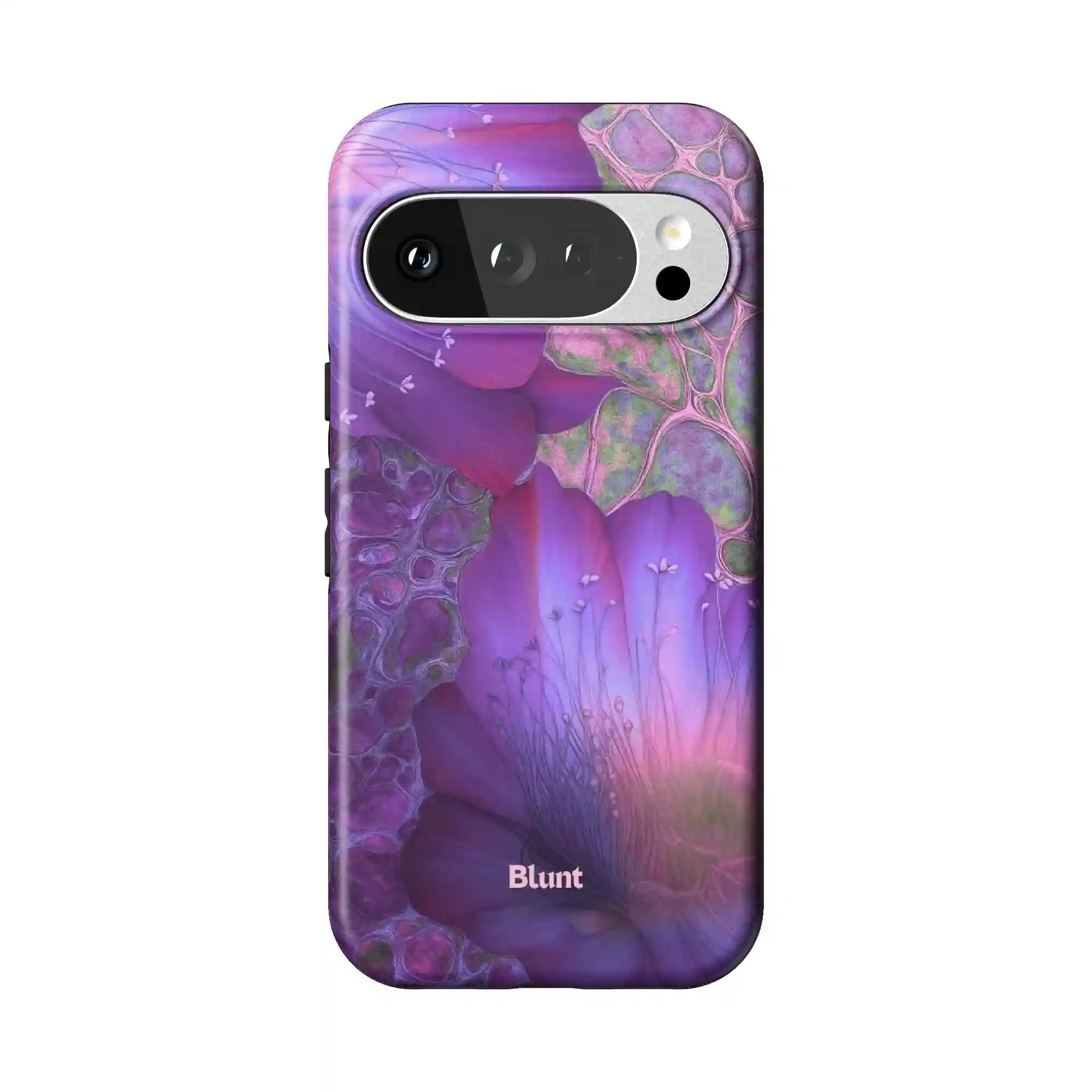 bluntcasesus.it.com