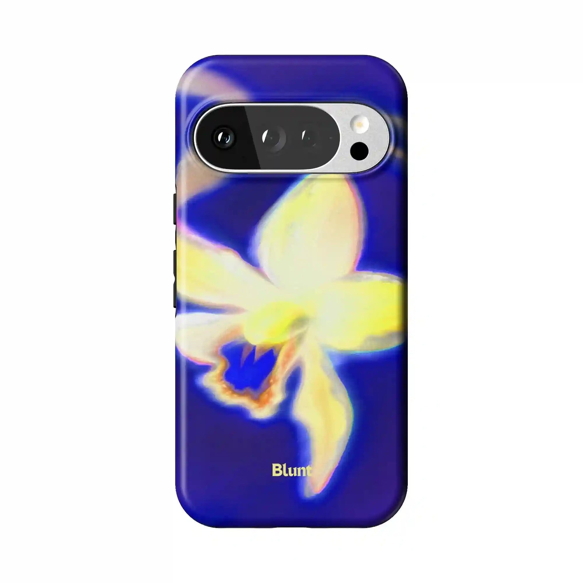 bluntcasesus.it.com