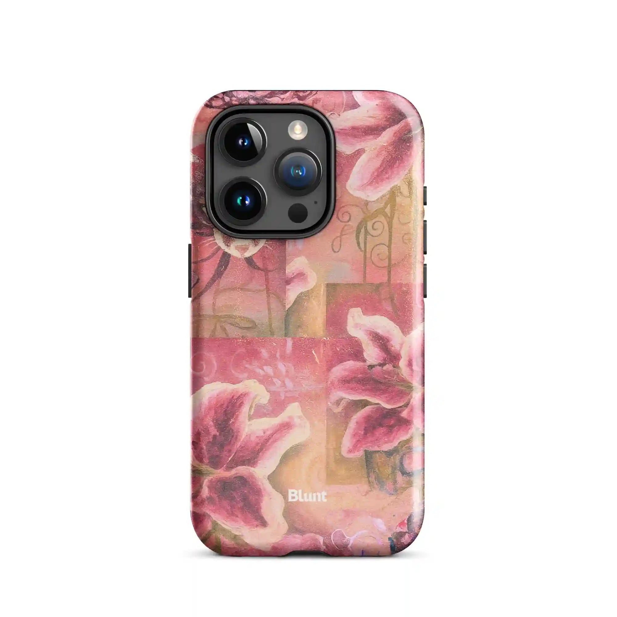 bluntcasesus.it.com