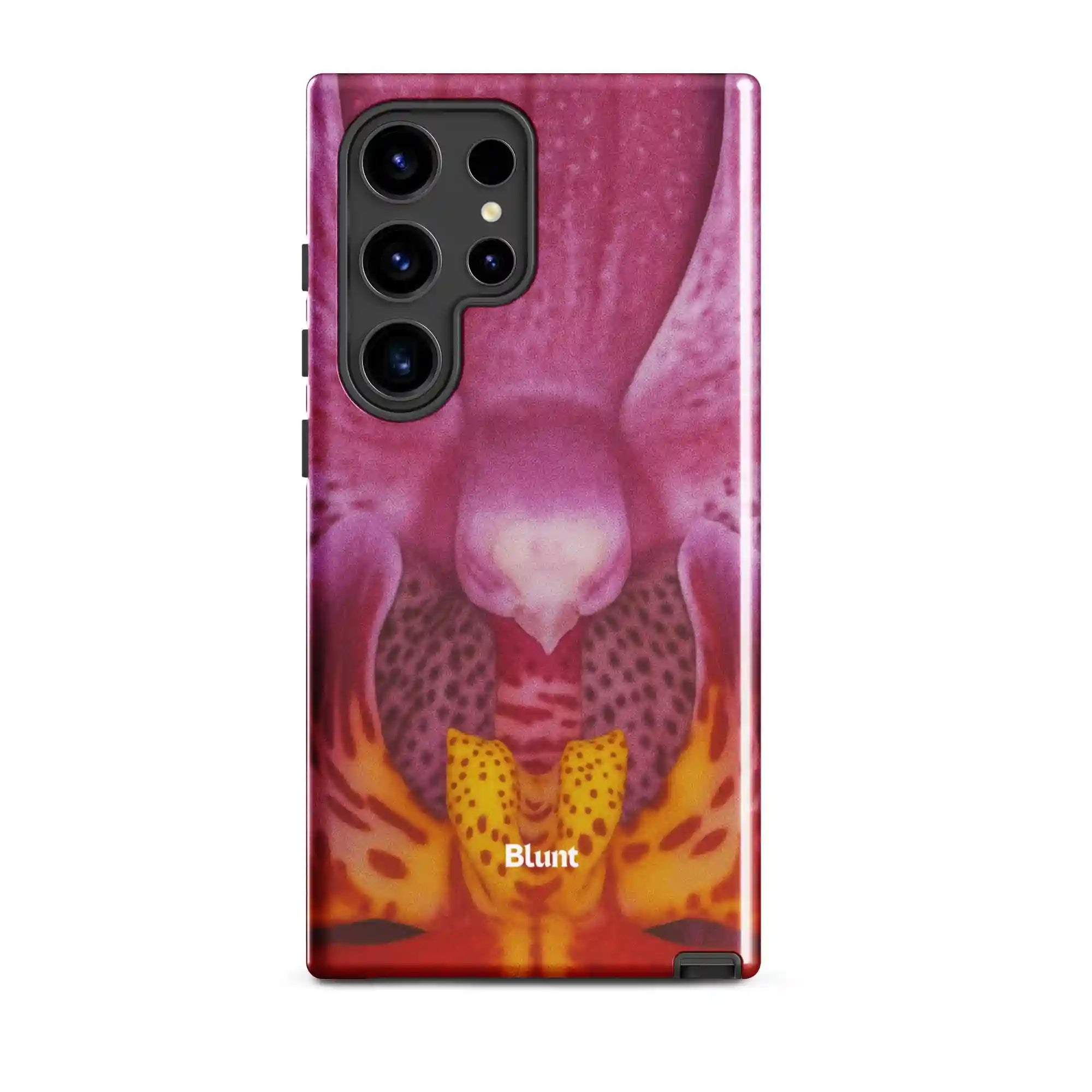 bluntcasesus.it.com
