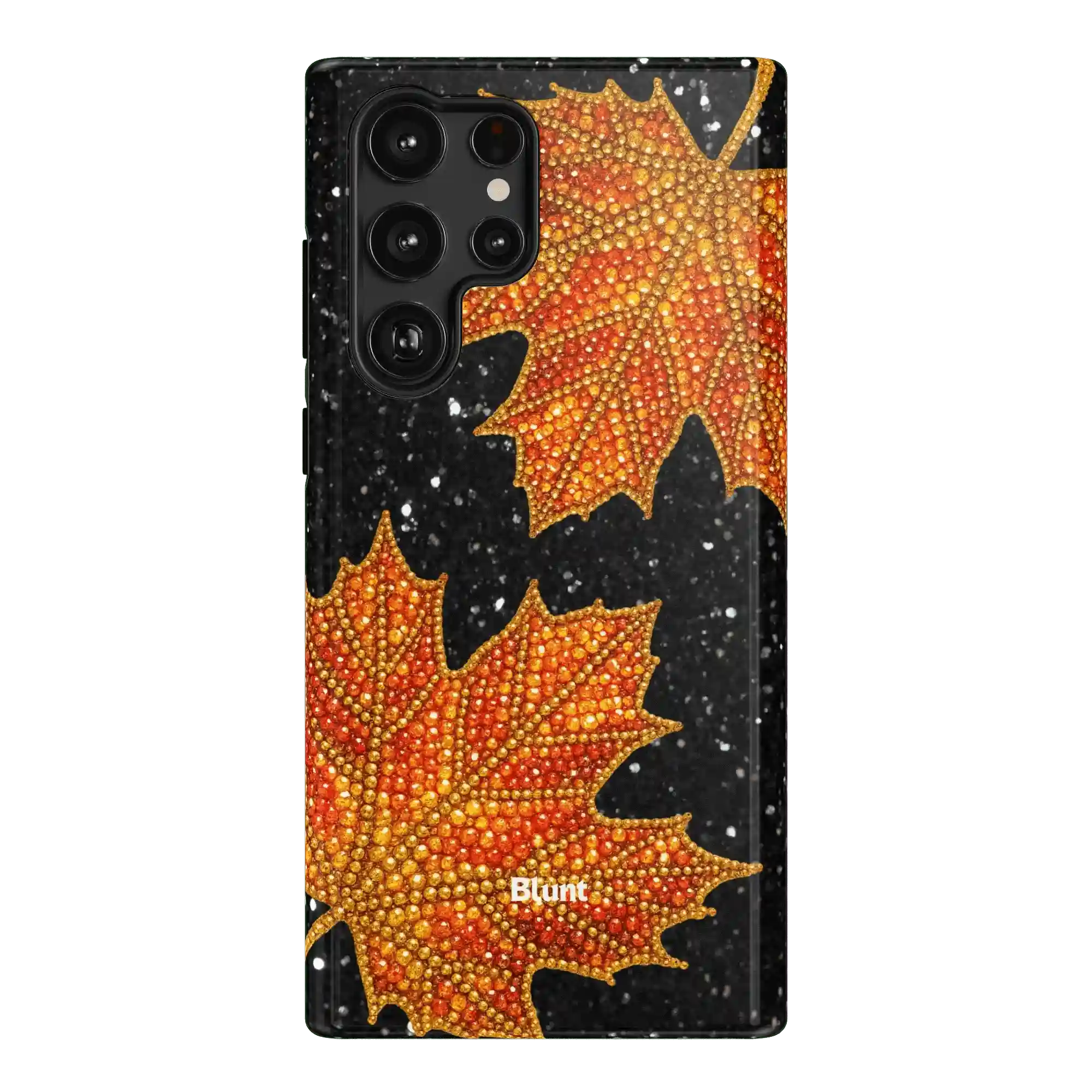 bluntcasesus.it.com