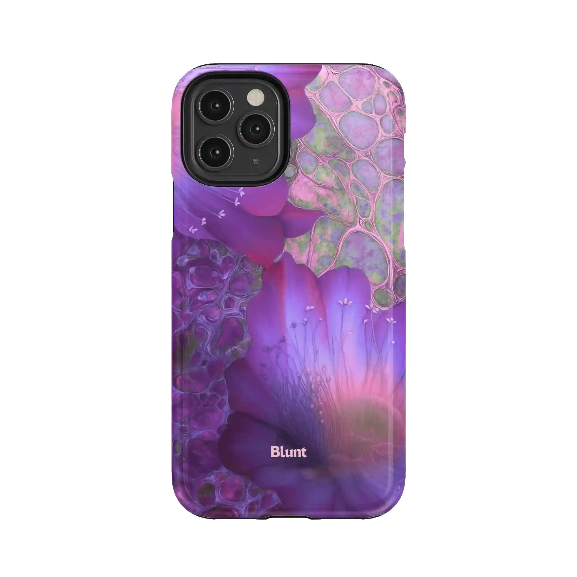 bluntcasesus.it.com
