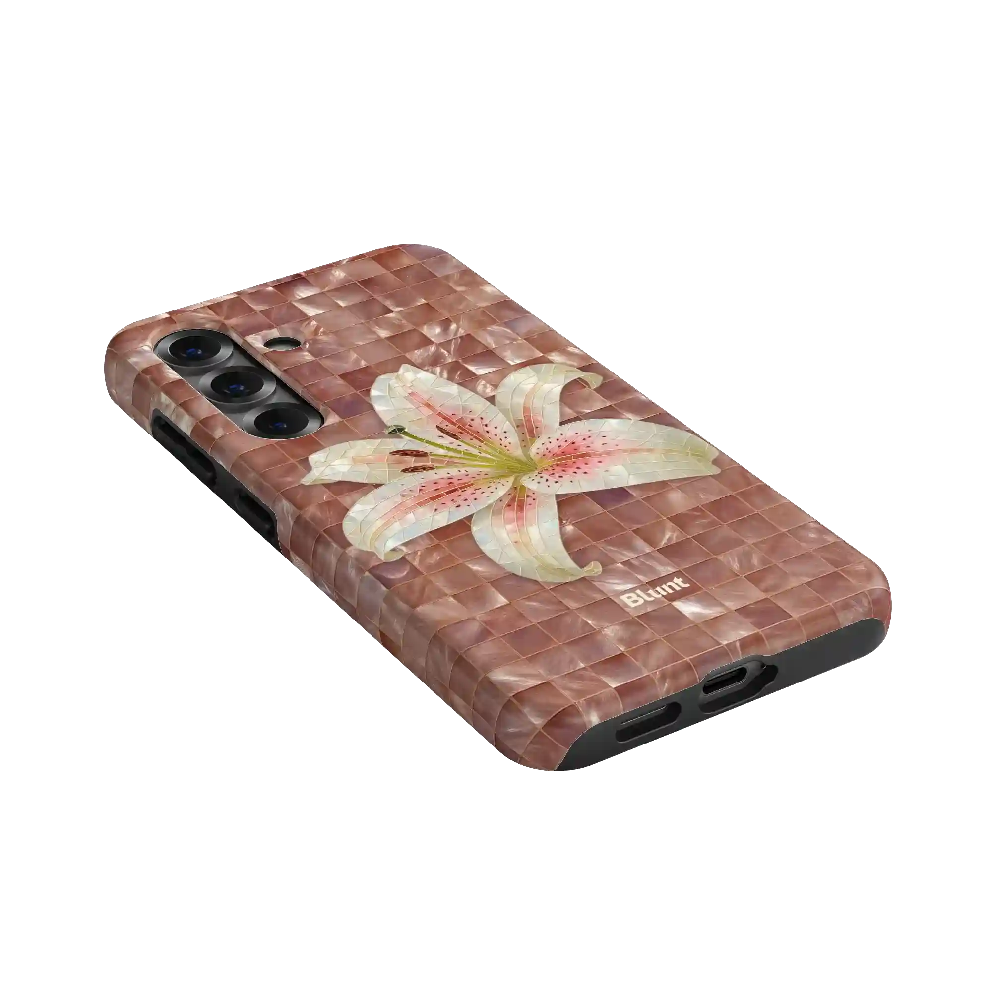 bluntcasesus.it.com
