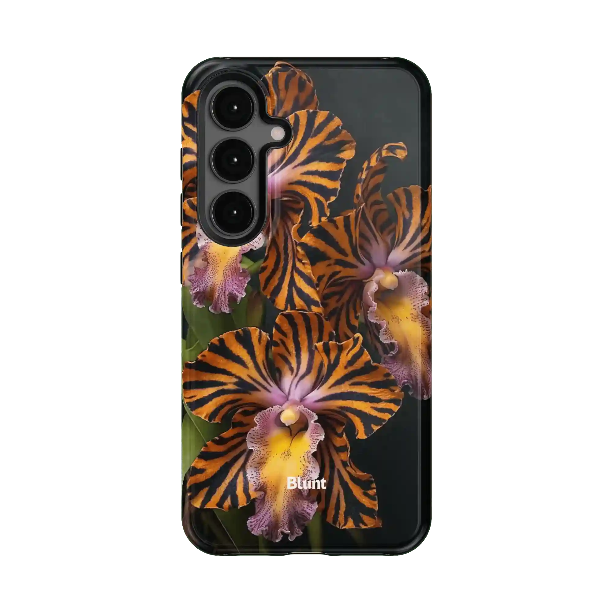 bluntcasesus.it.com