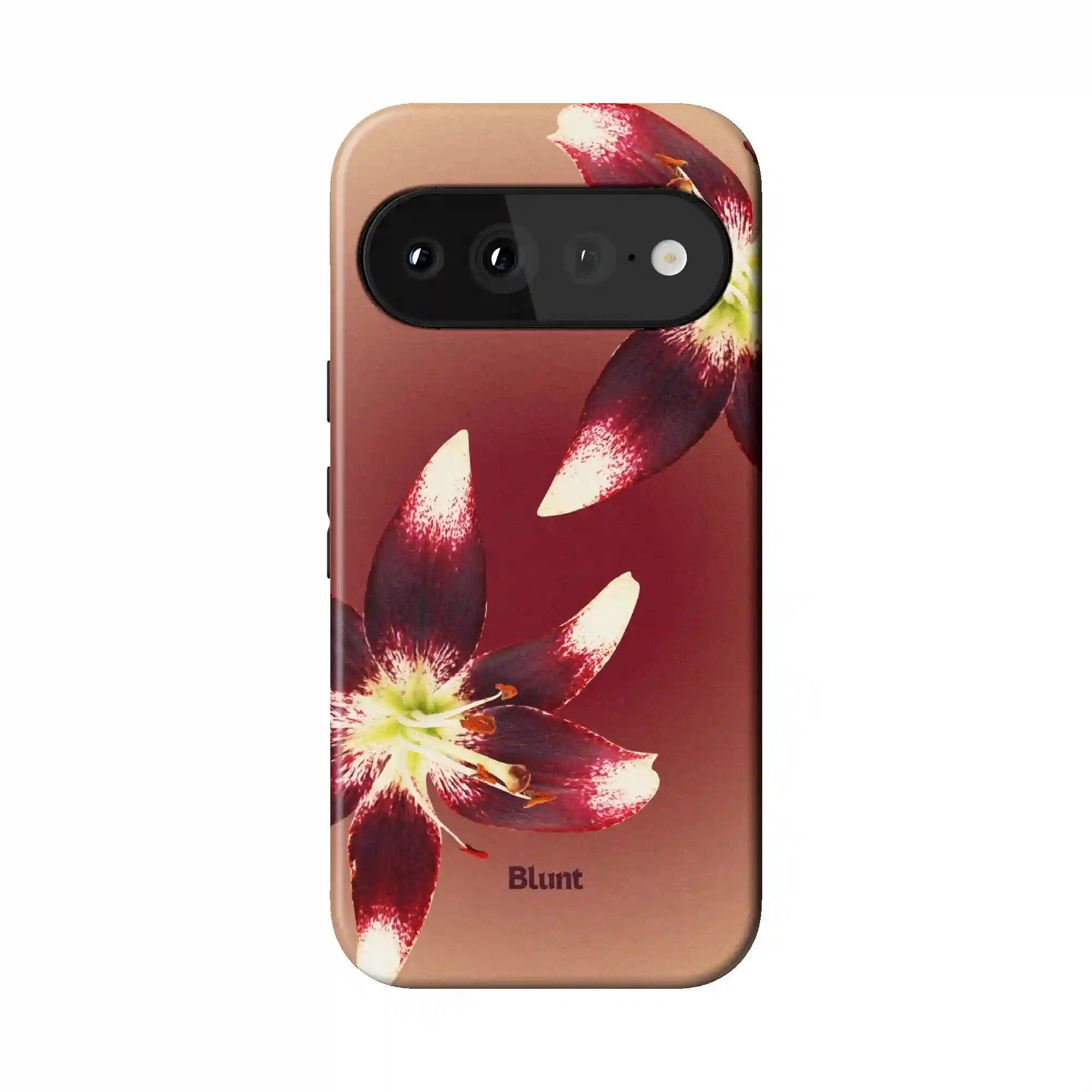bluntcasesus.it.com
