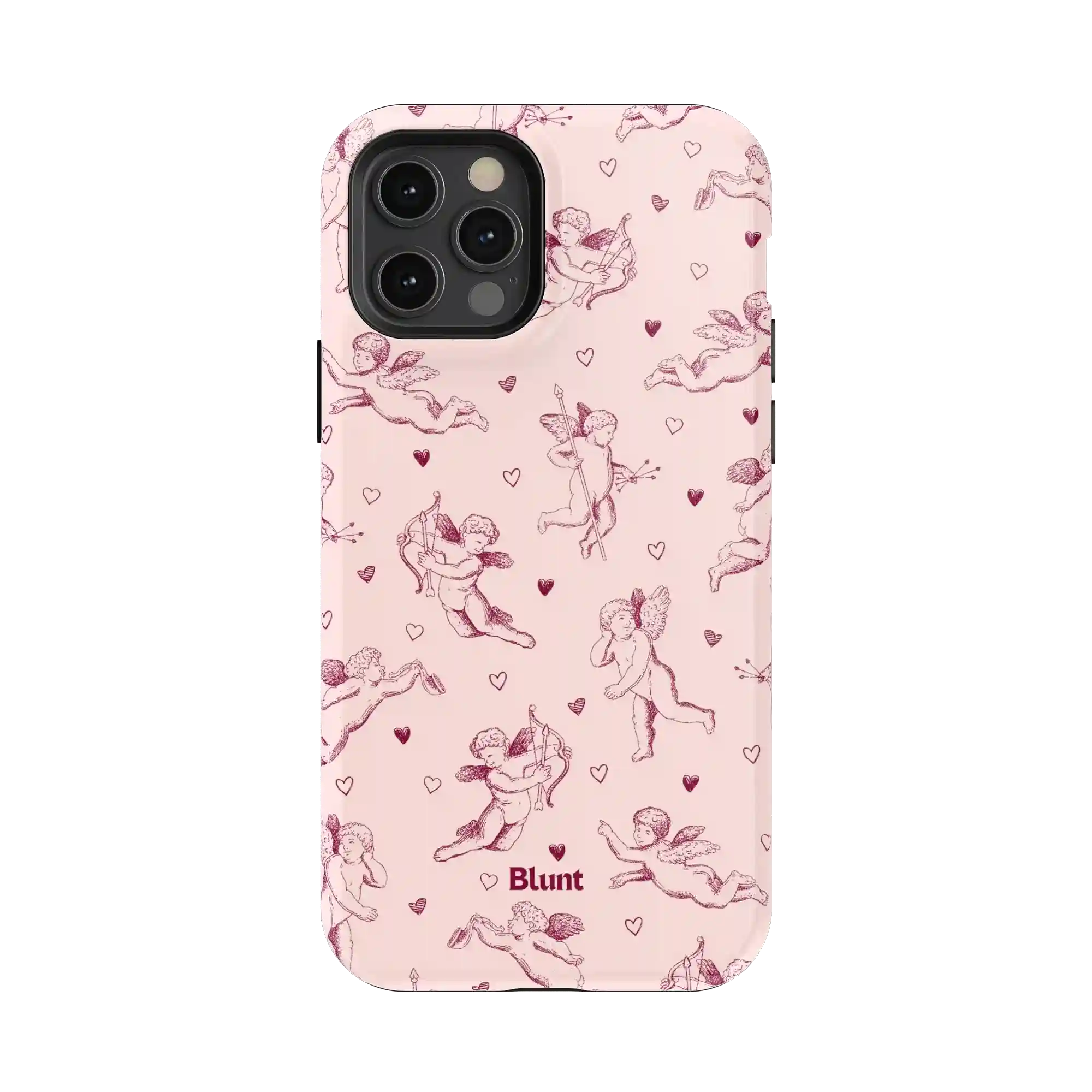 bluntcasesus.it.com
