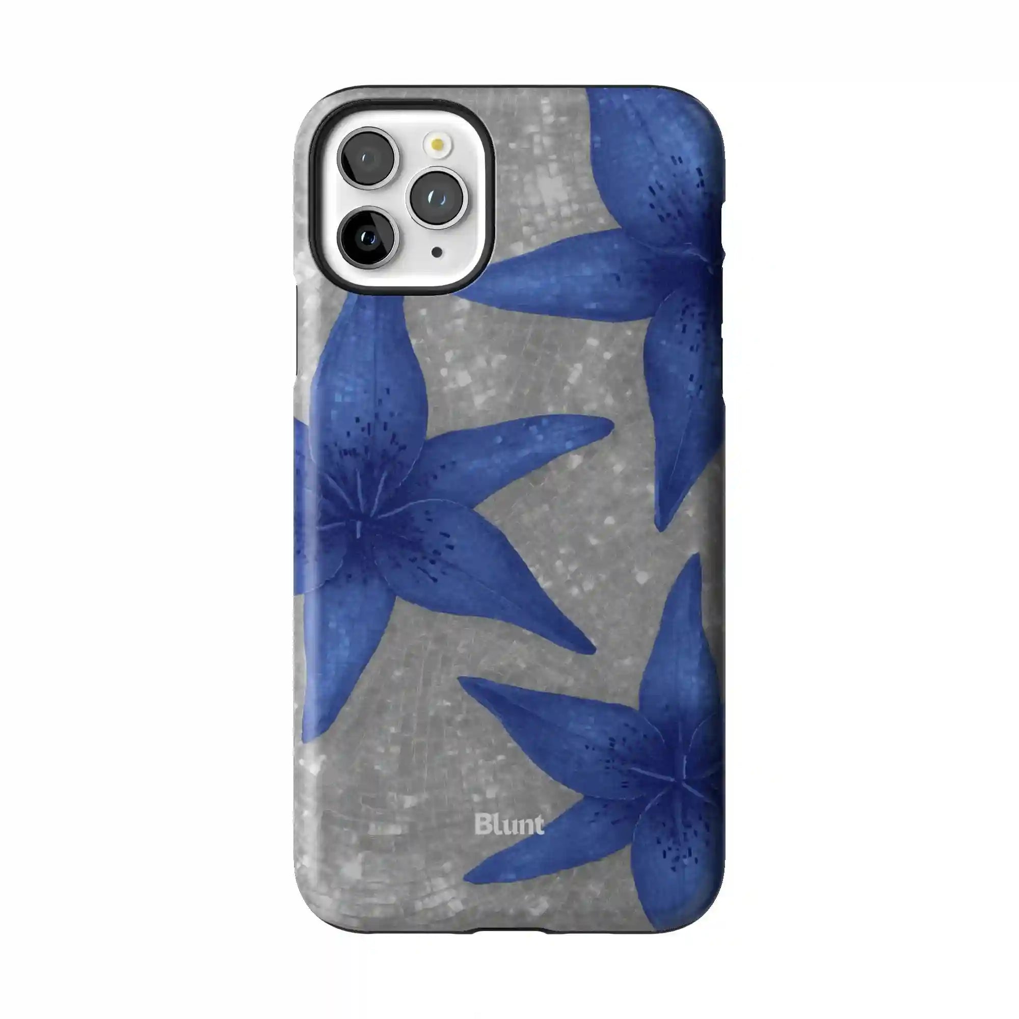 bluntcasesus.it.com