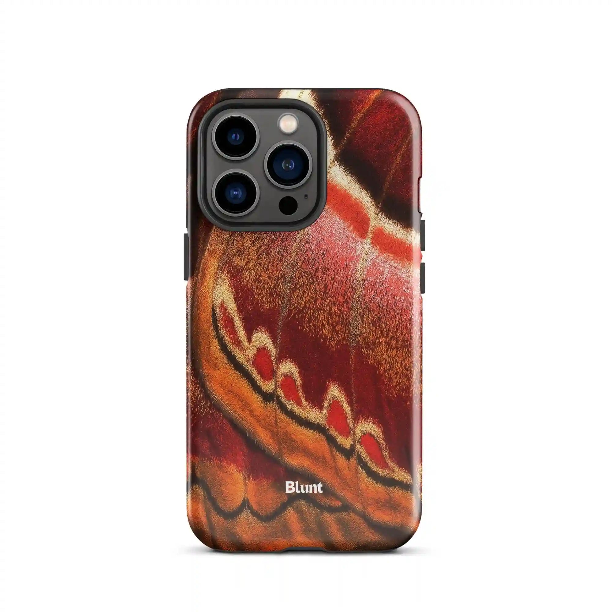 bluntcasesus.it.com