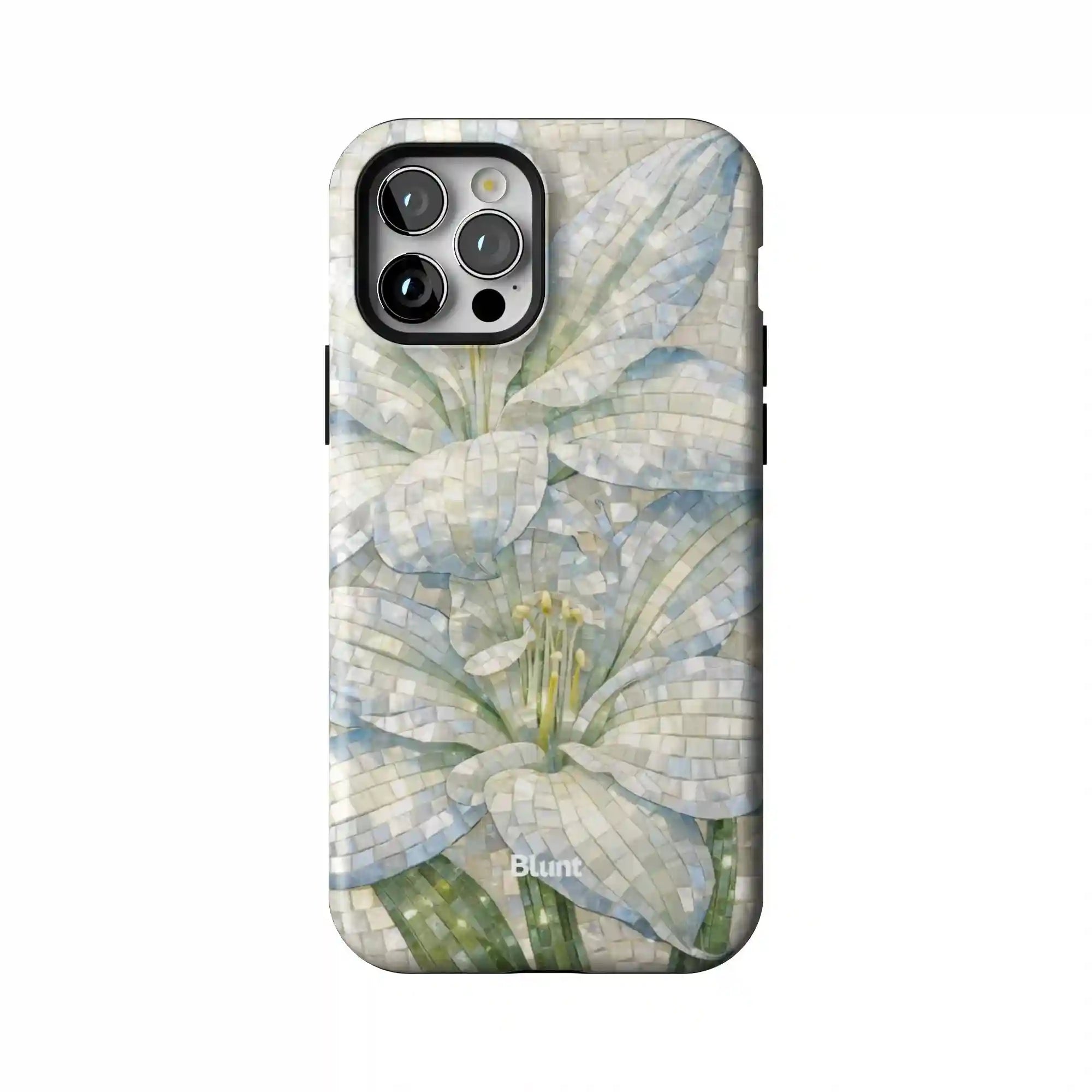 bluntcasesus.it.com