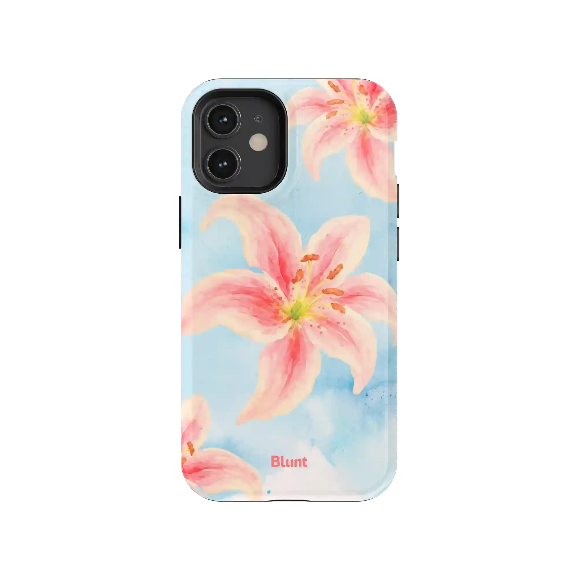 bluntcasesus.it.com