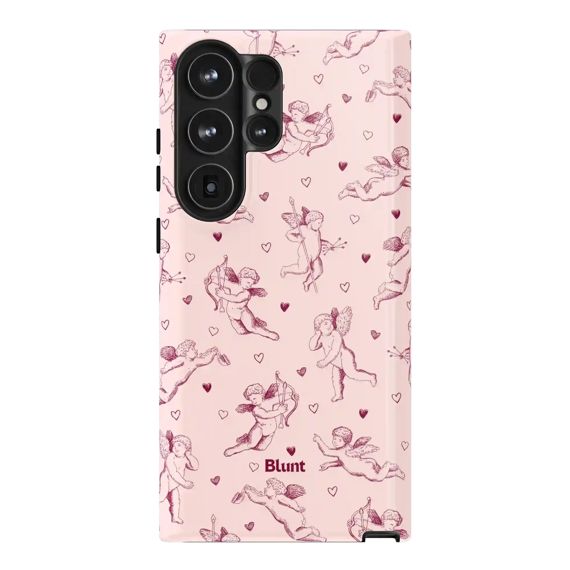 bluntcasesus.it.com
