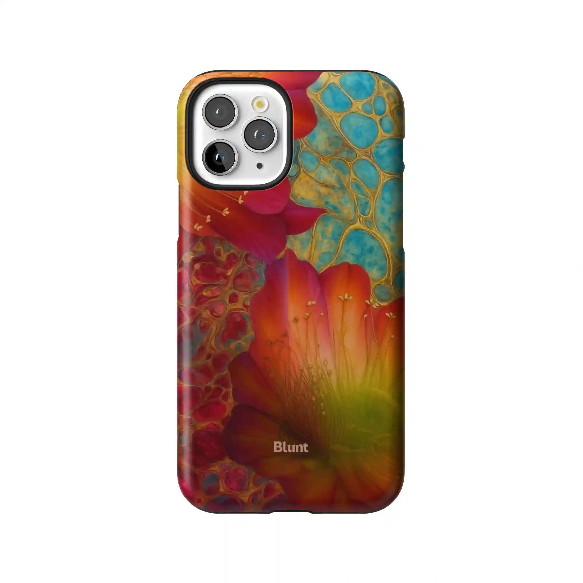 bluntcasesus.it.com