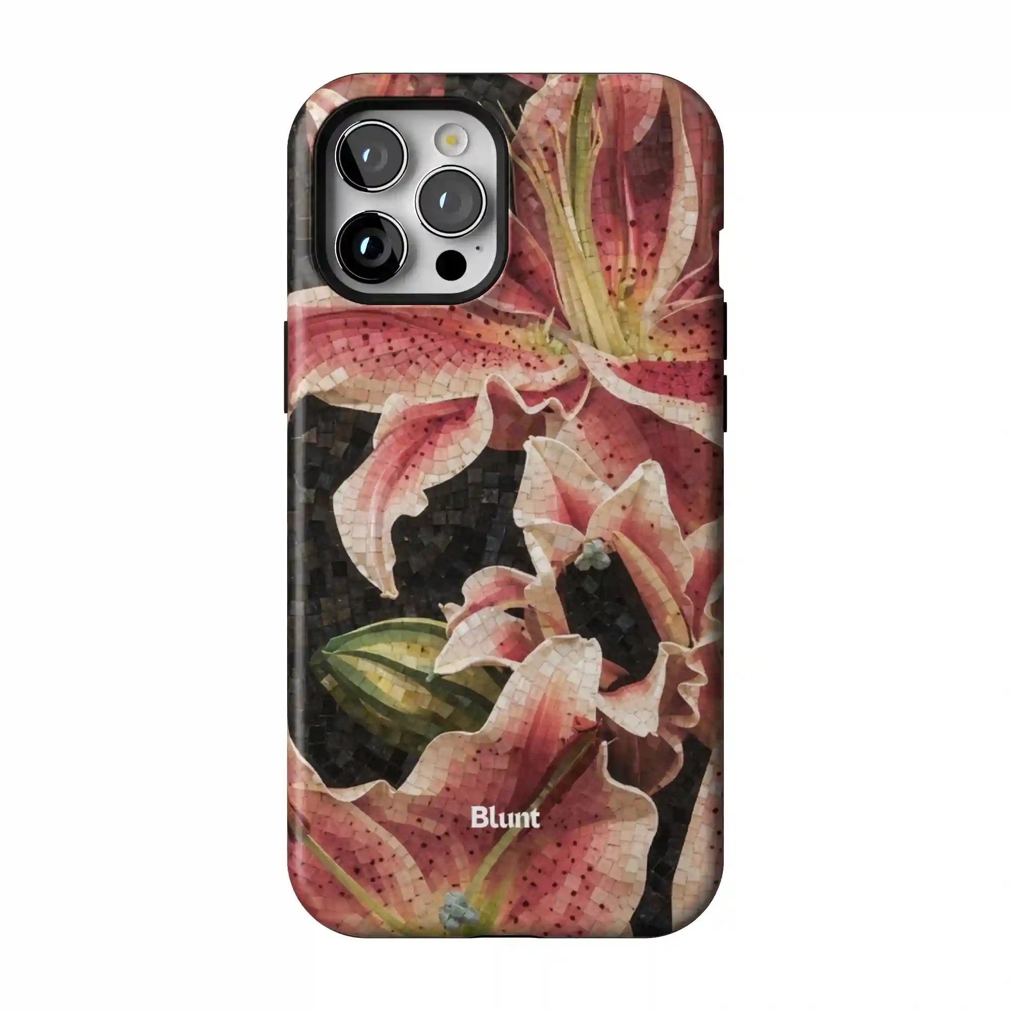 bluntcasesus.it.com