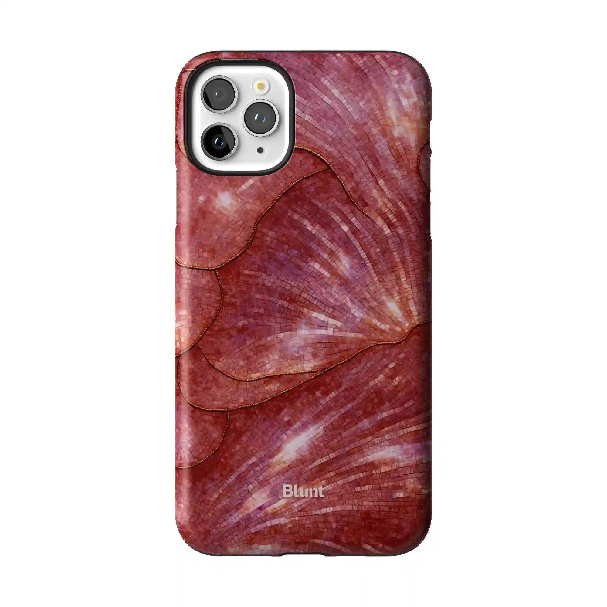 bluntcasesus.it.com