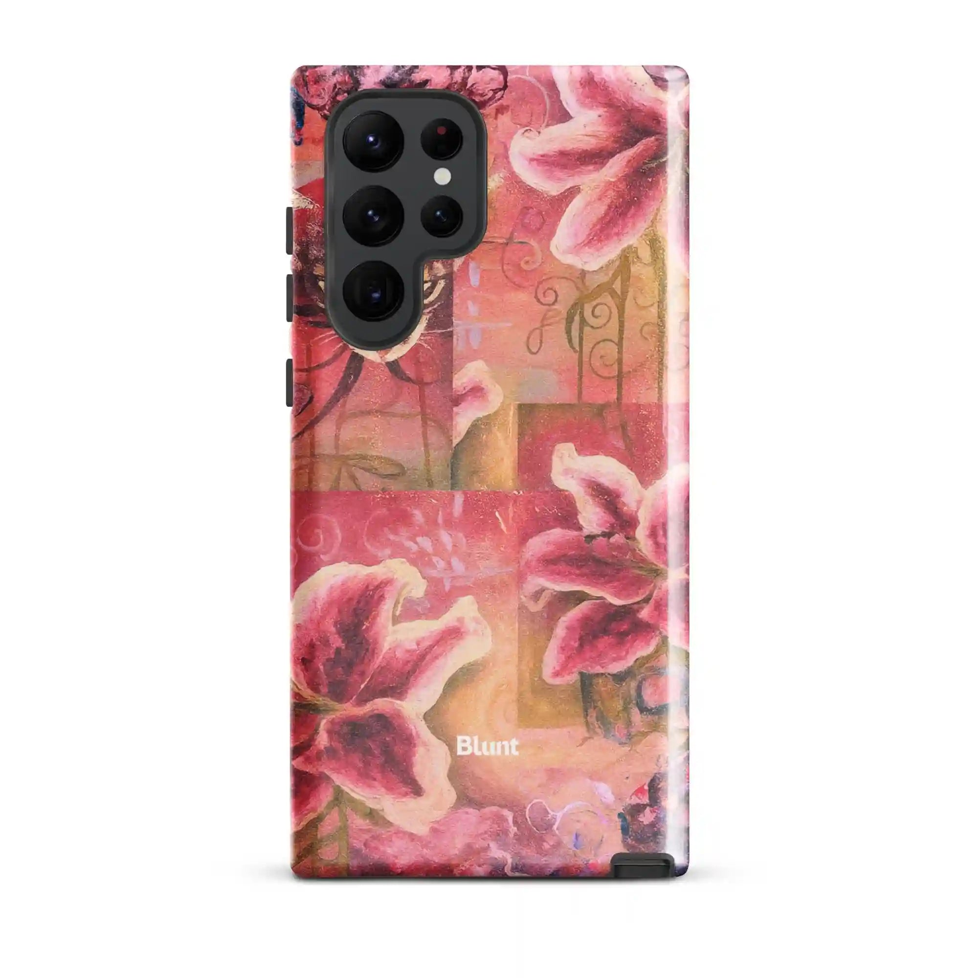 bluntcasesus.it.com