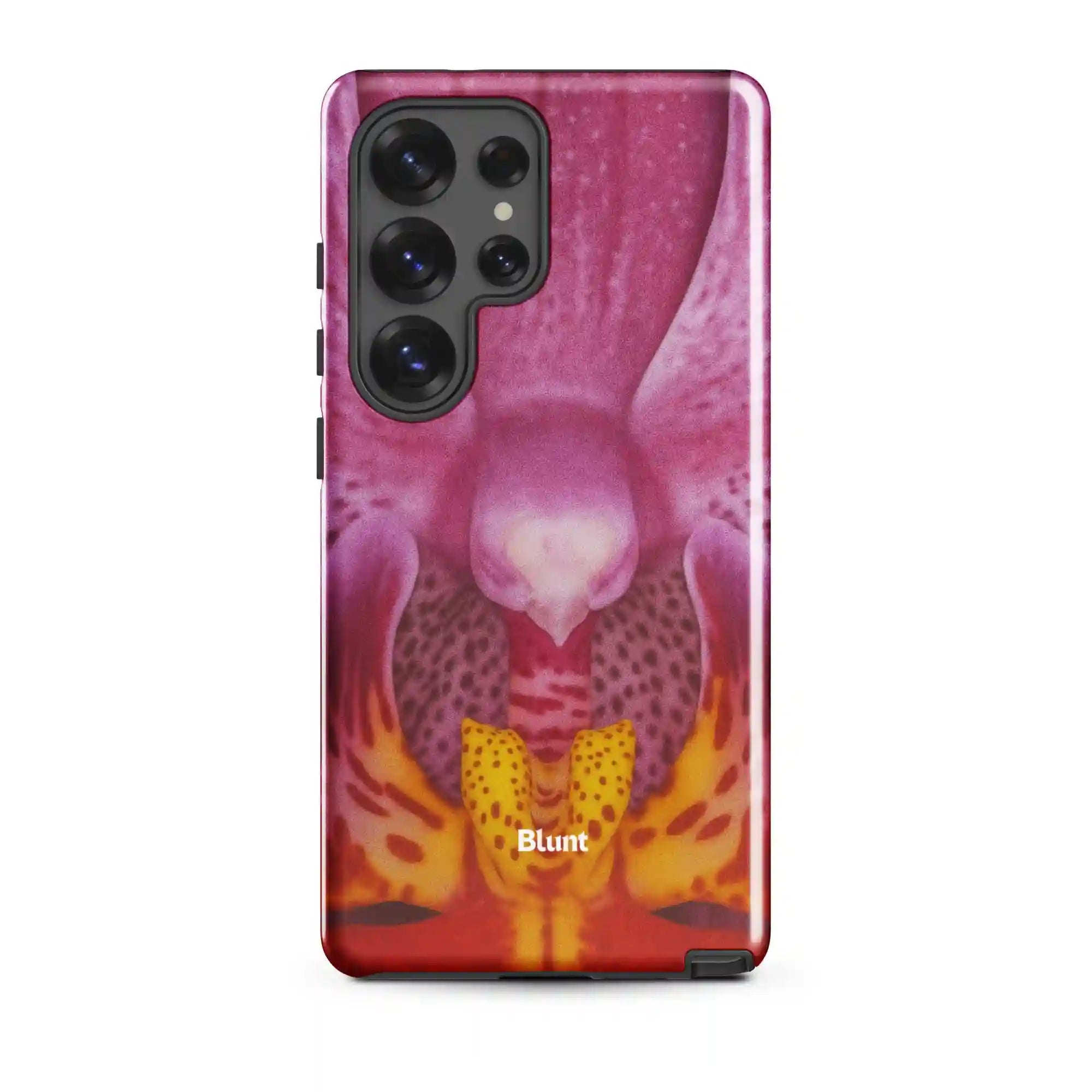 bluntcasesus.it.com
