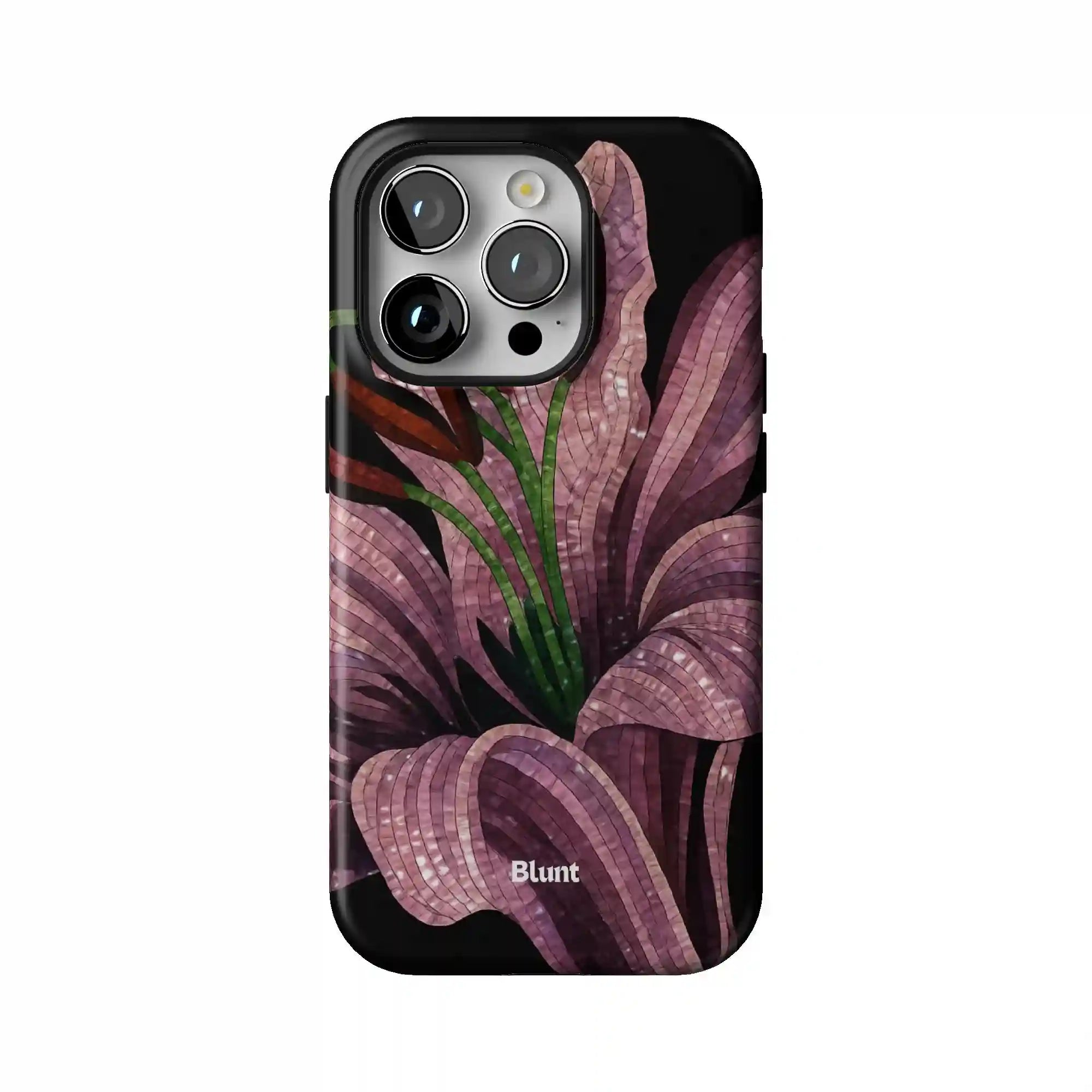 bluntcasesus.it.com
