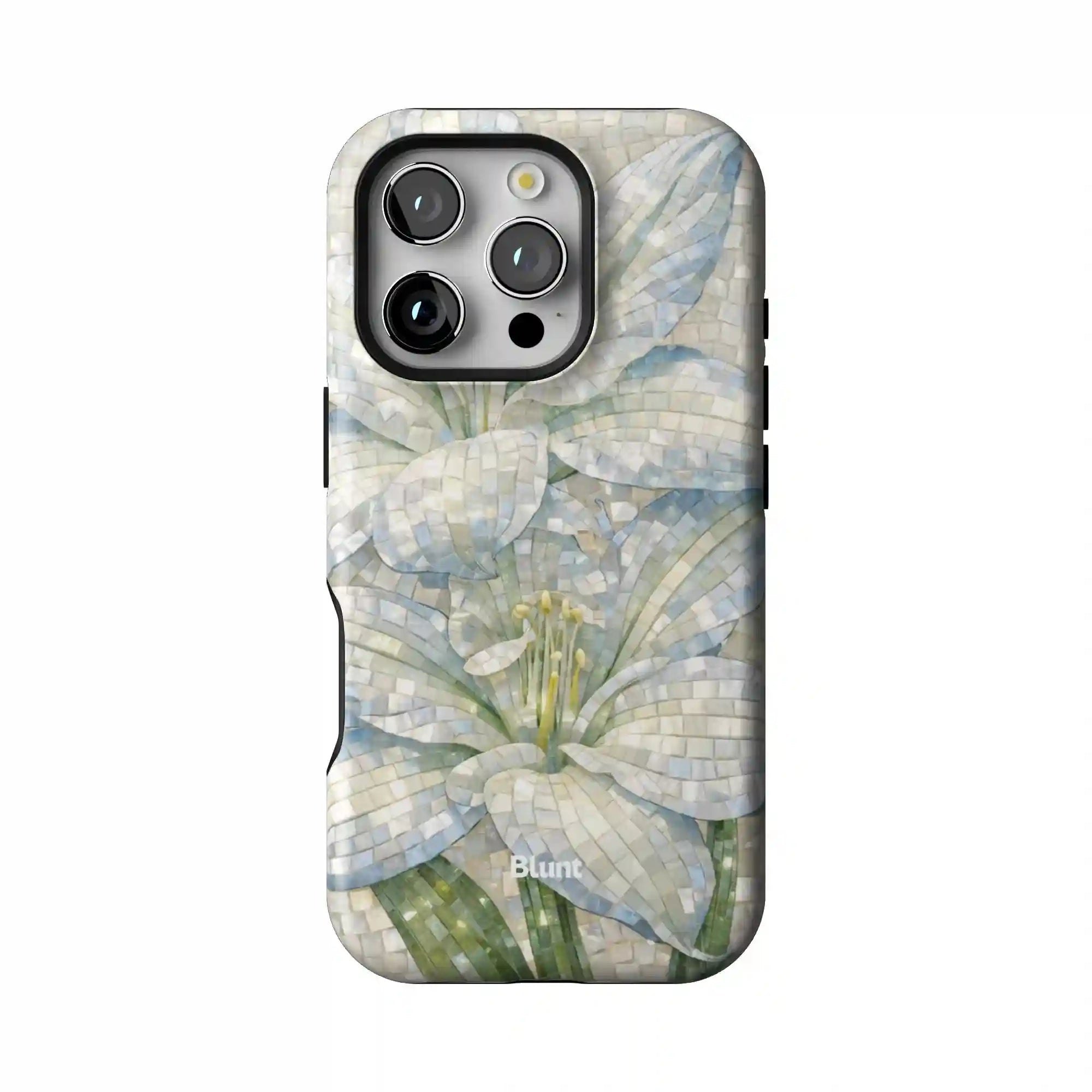 bluntcasesus.it.com