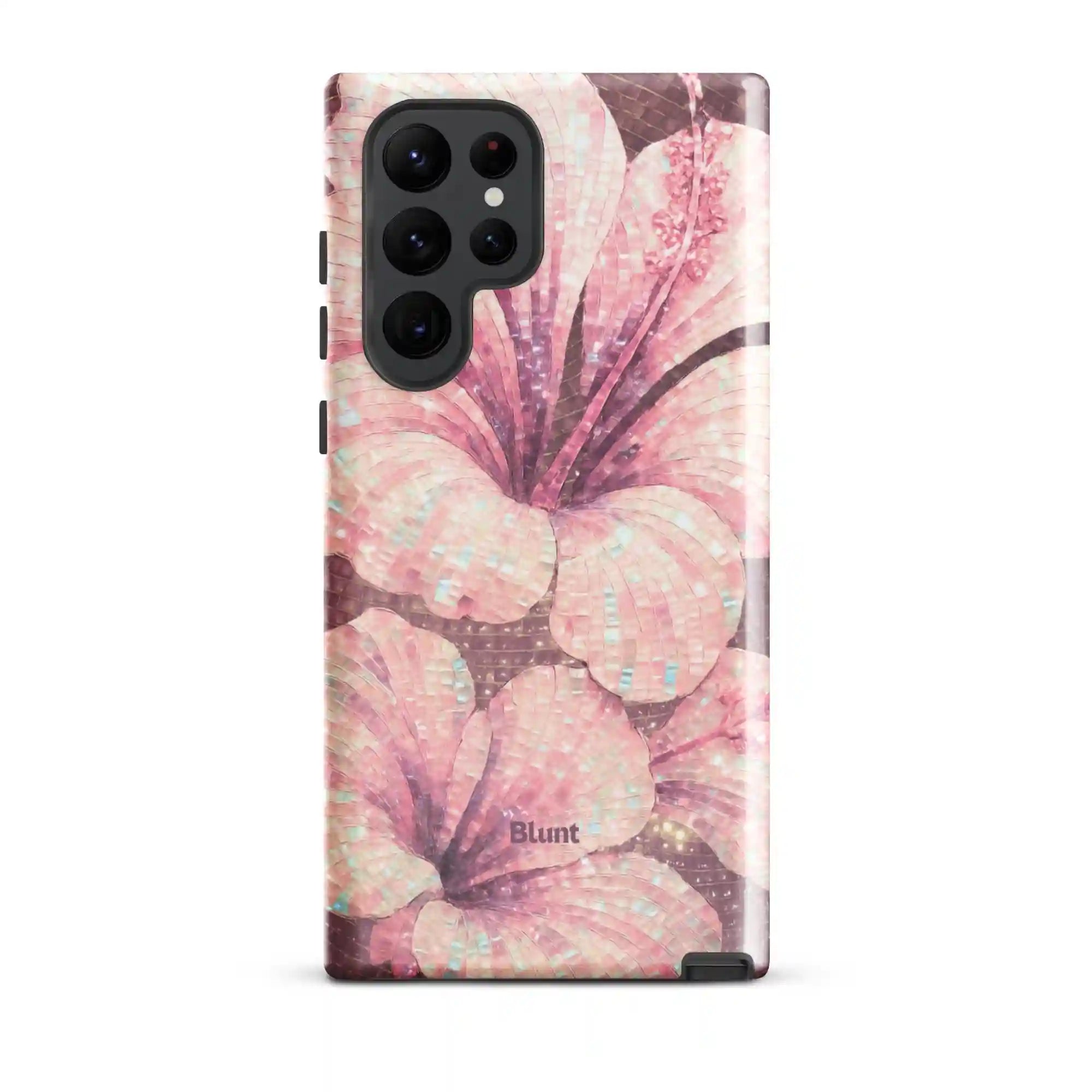 bluntcasesus.it.com