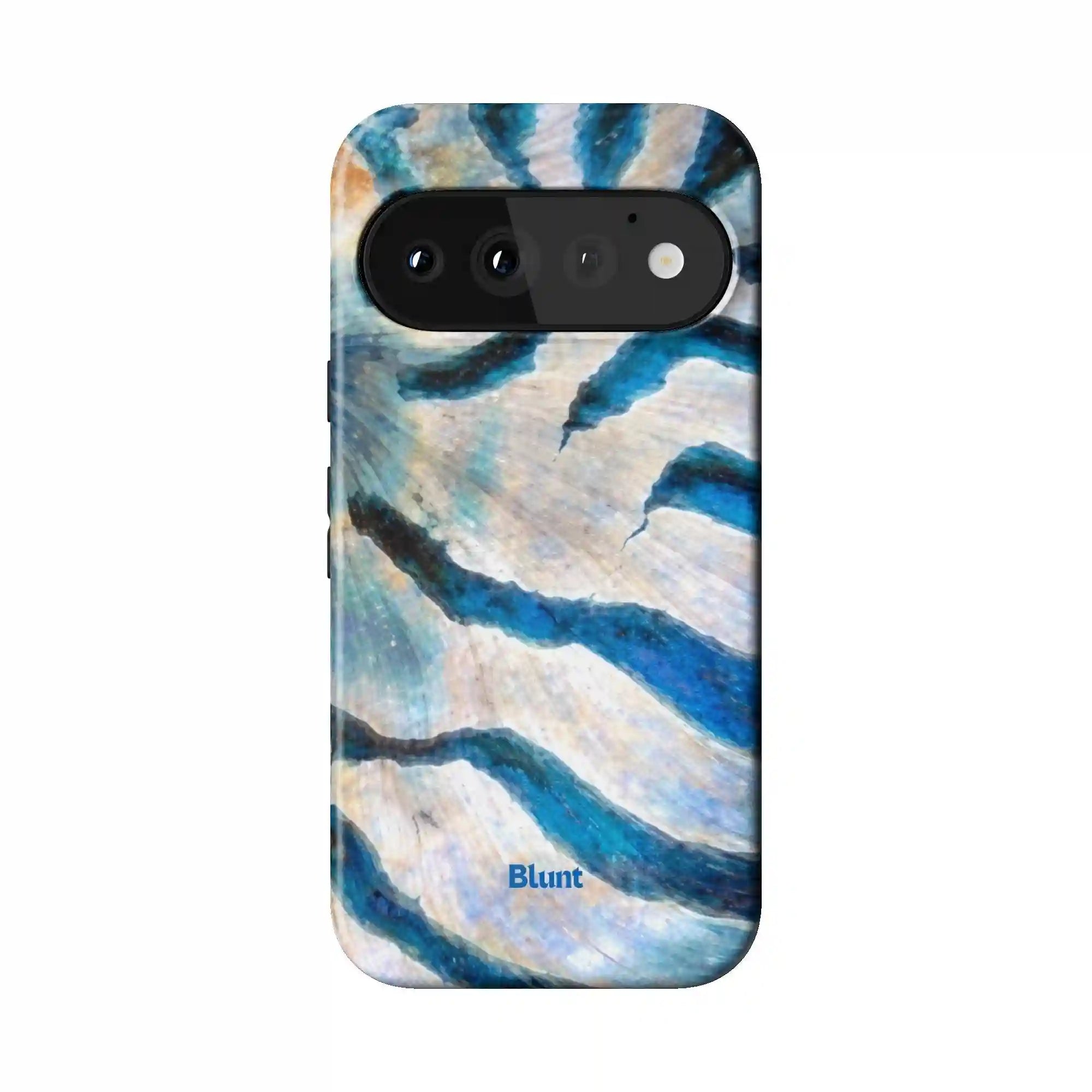 bluntcasesus.it.com