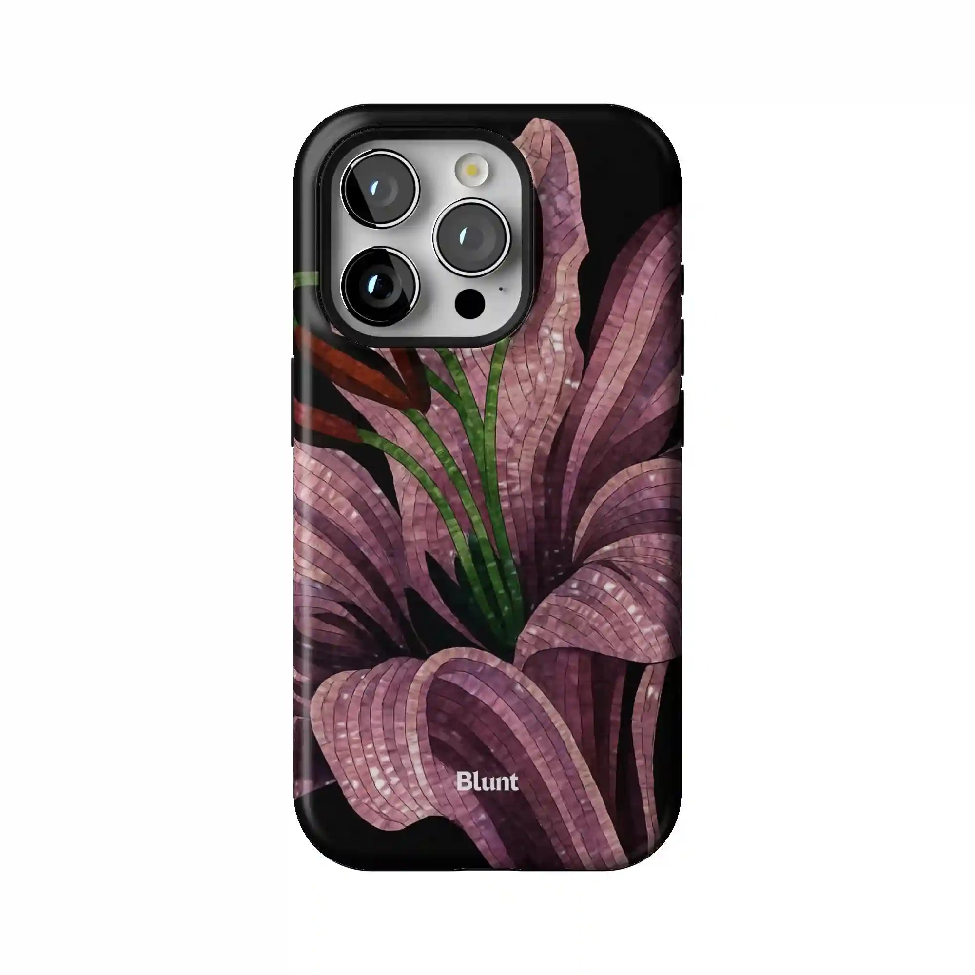 bluntcasesus.it.com