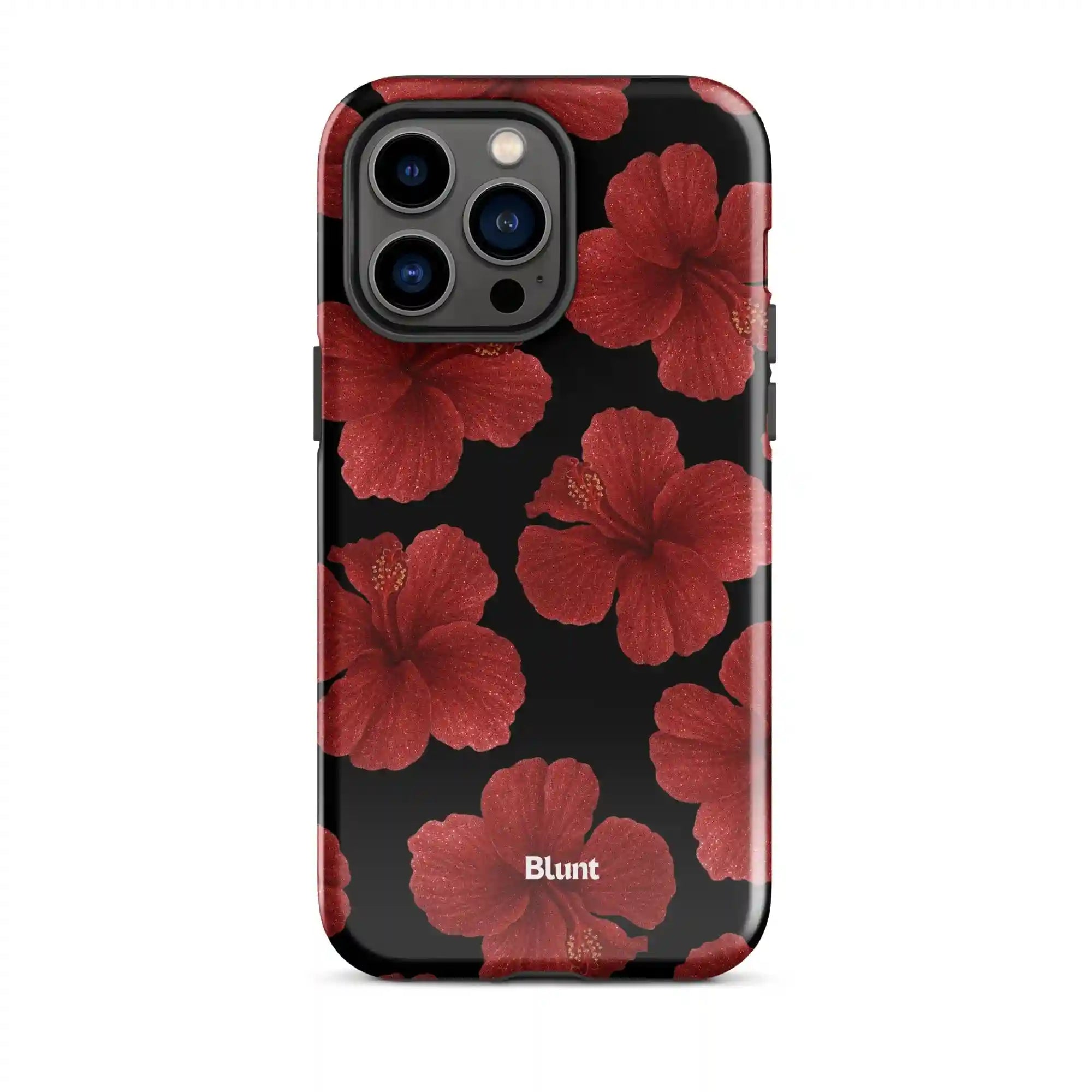 bluntcasesus.it.com