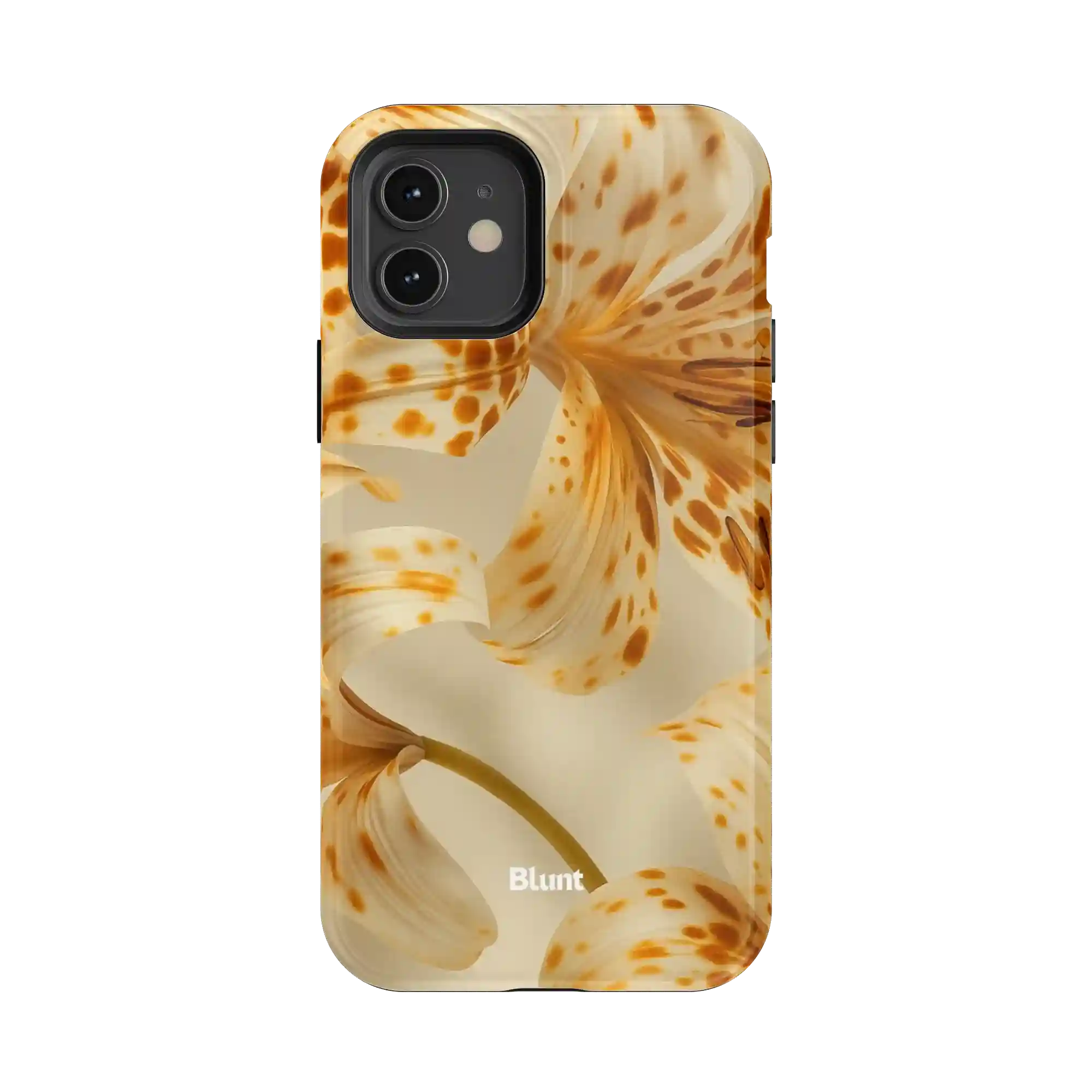 bluntcasesus.it.com