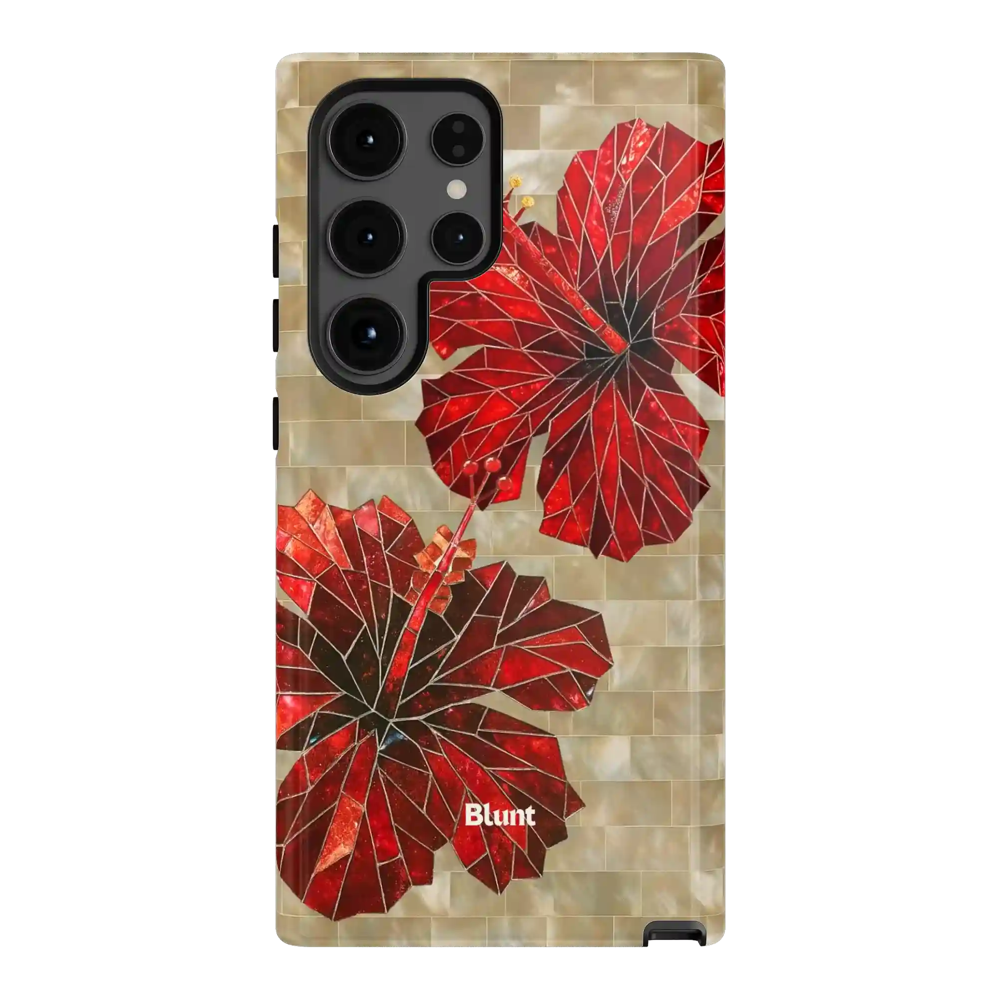 bluntcasesus.it.com
