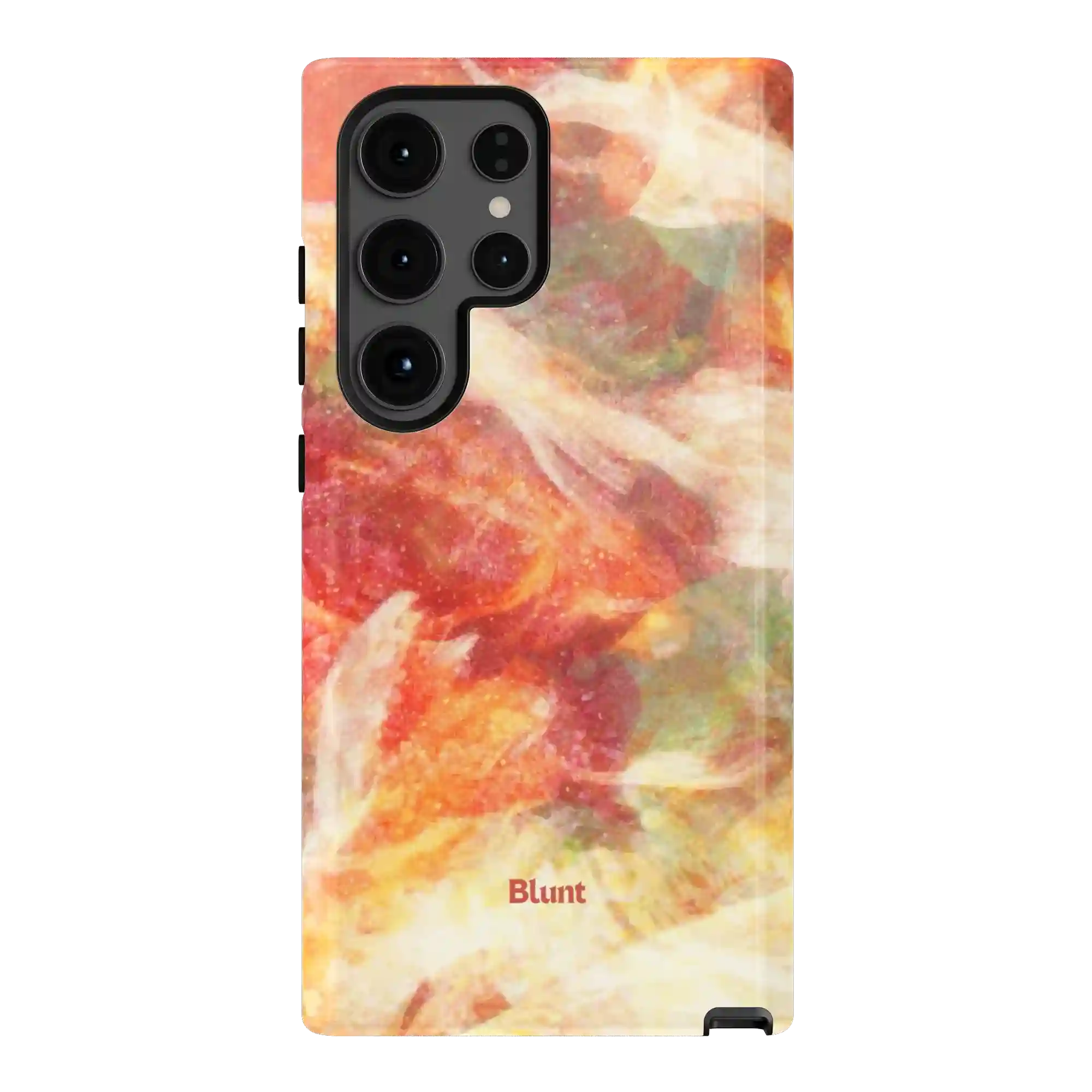 bluntcasesus.it.com