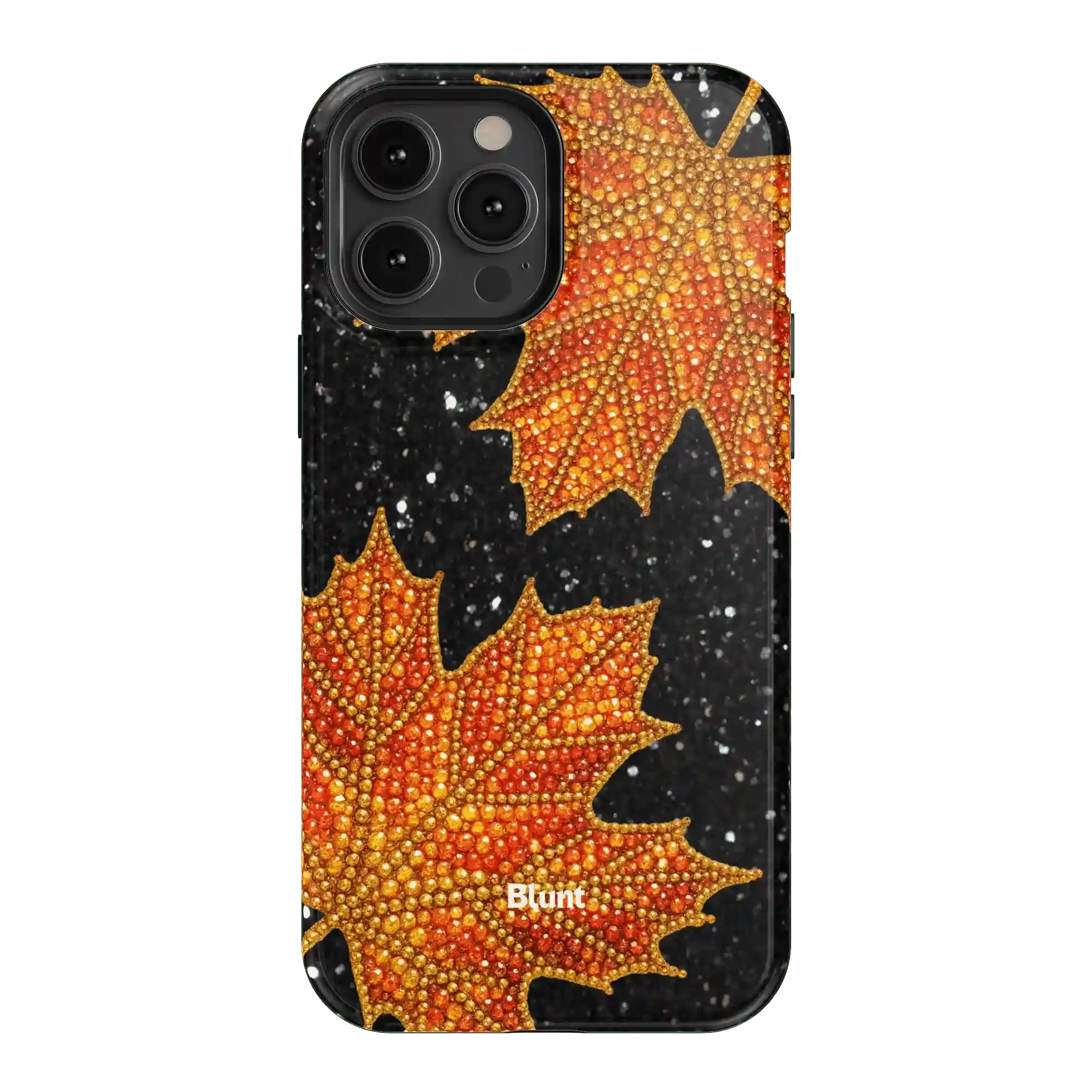 bluntcasesus.it.com