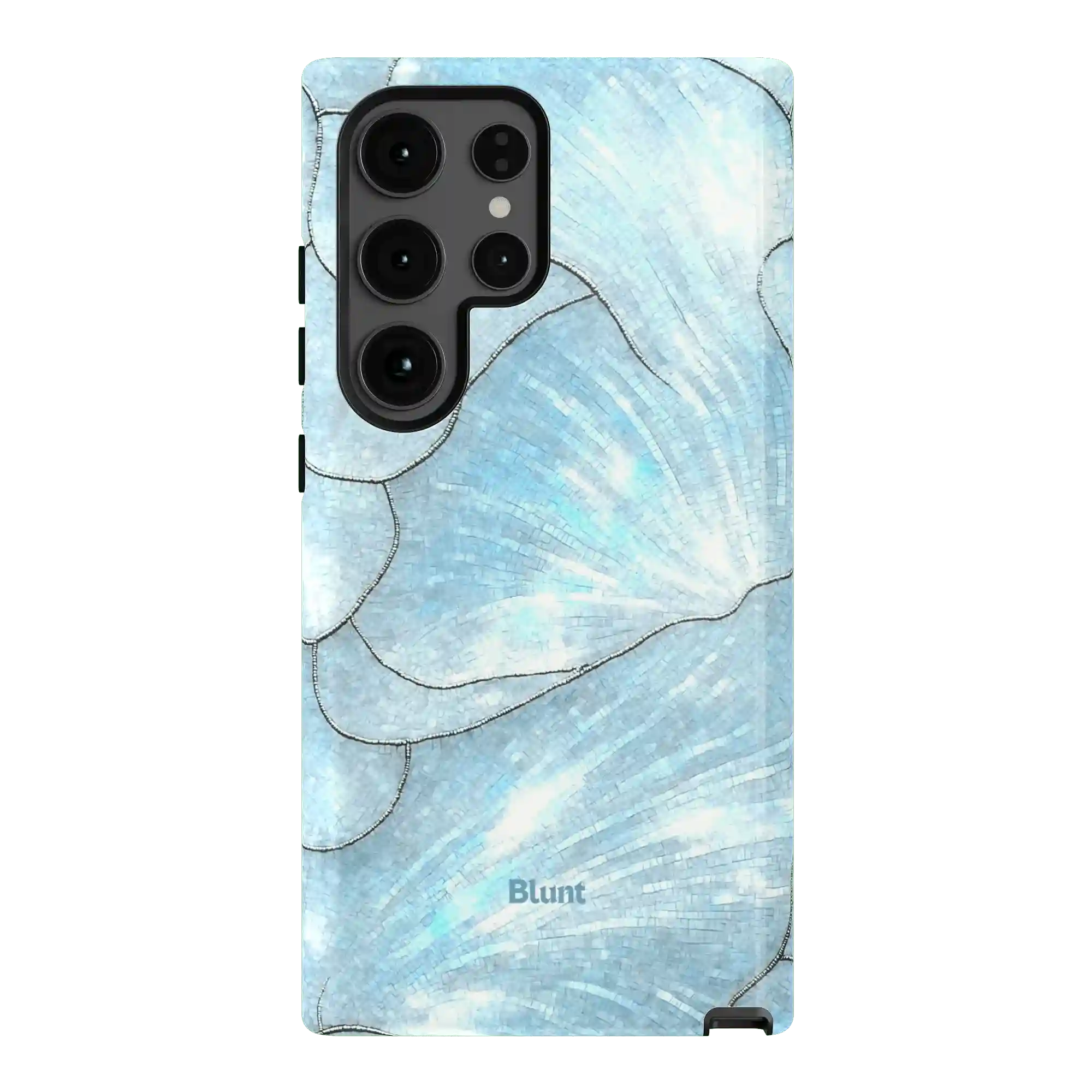 bluntcasesus.it.com