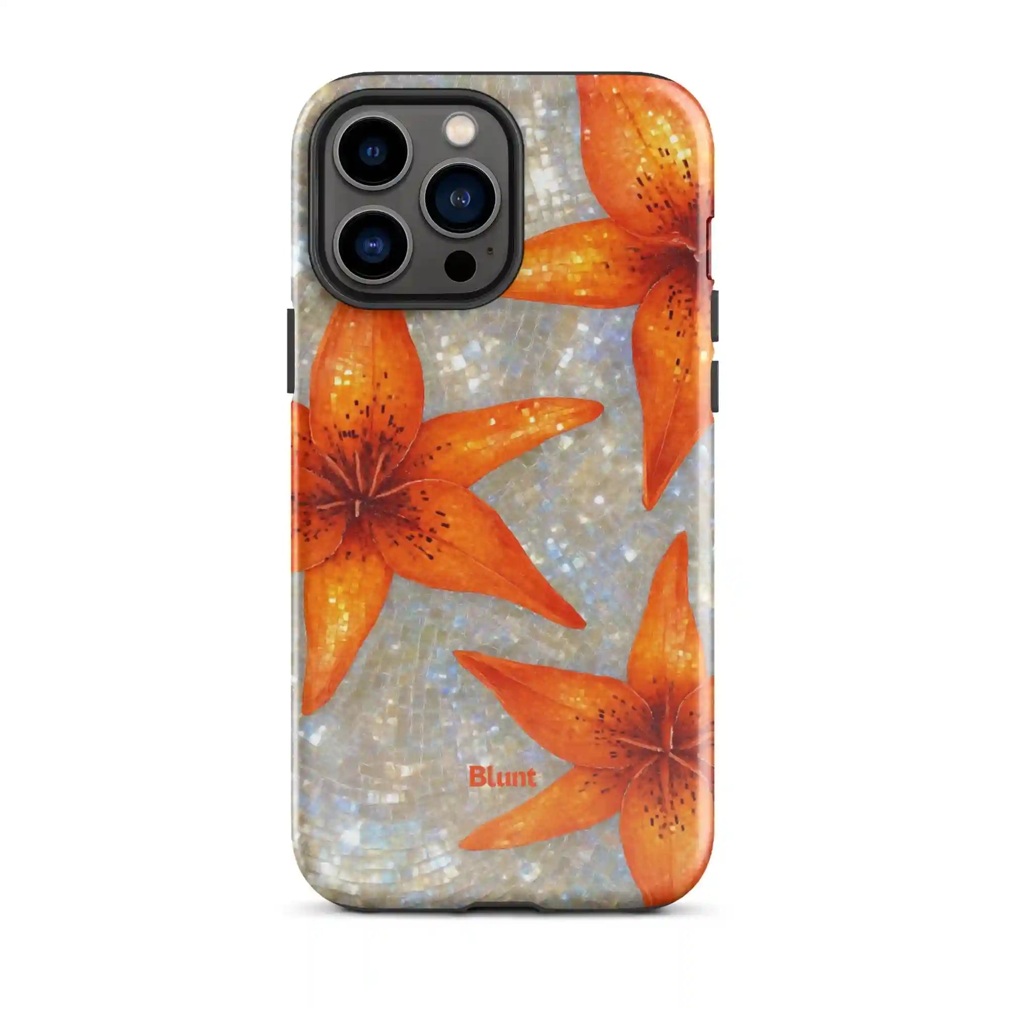 bluntcasesus.it.com