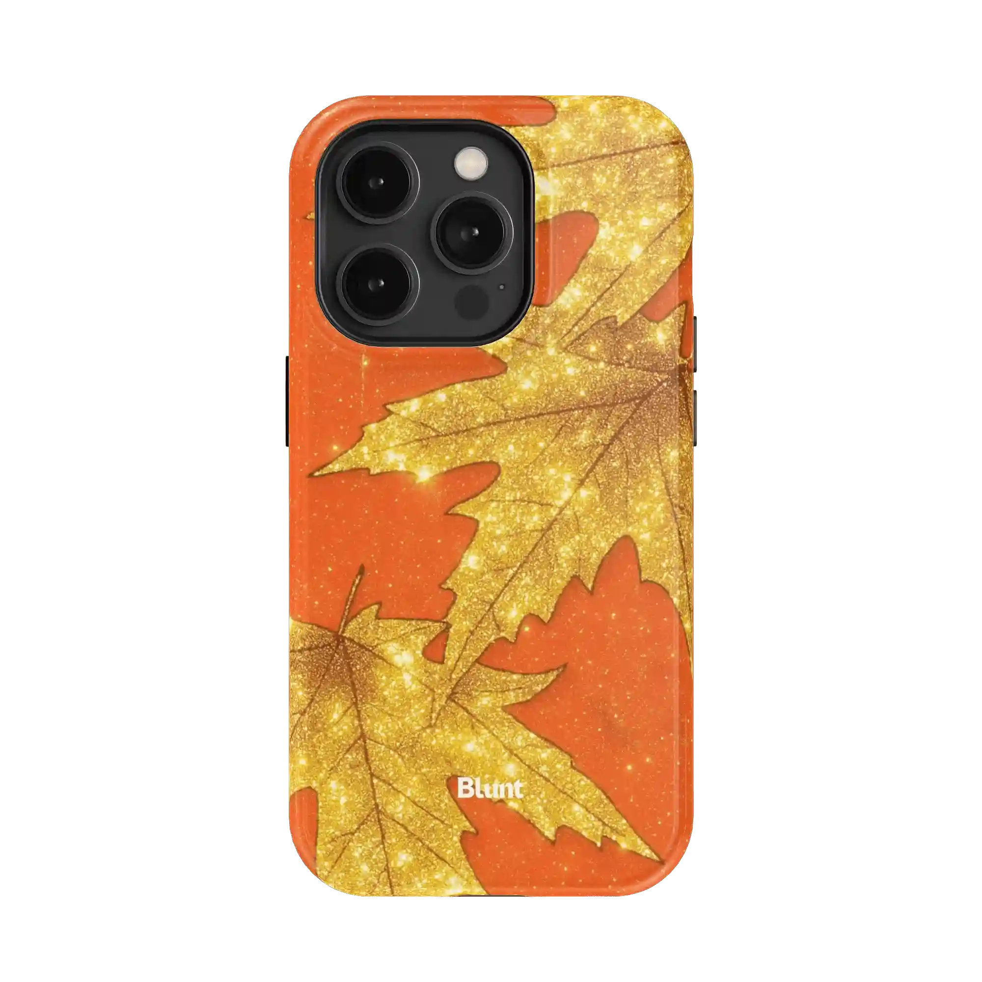 bluntcasesus.it.com