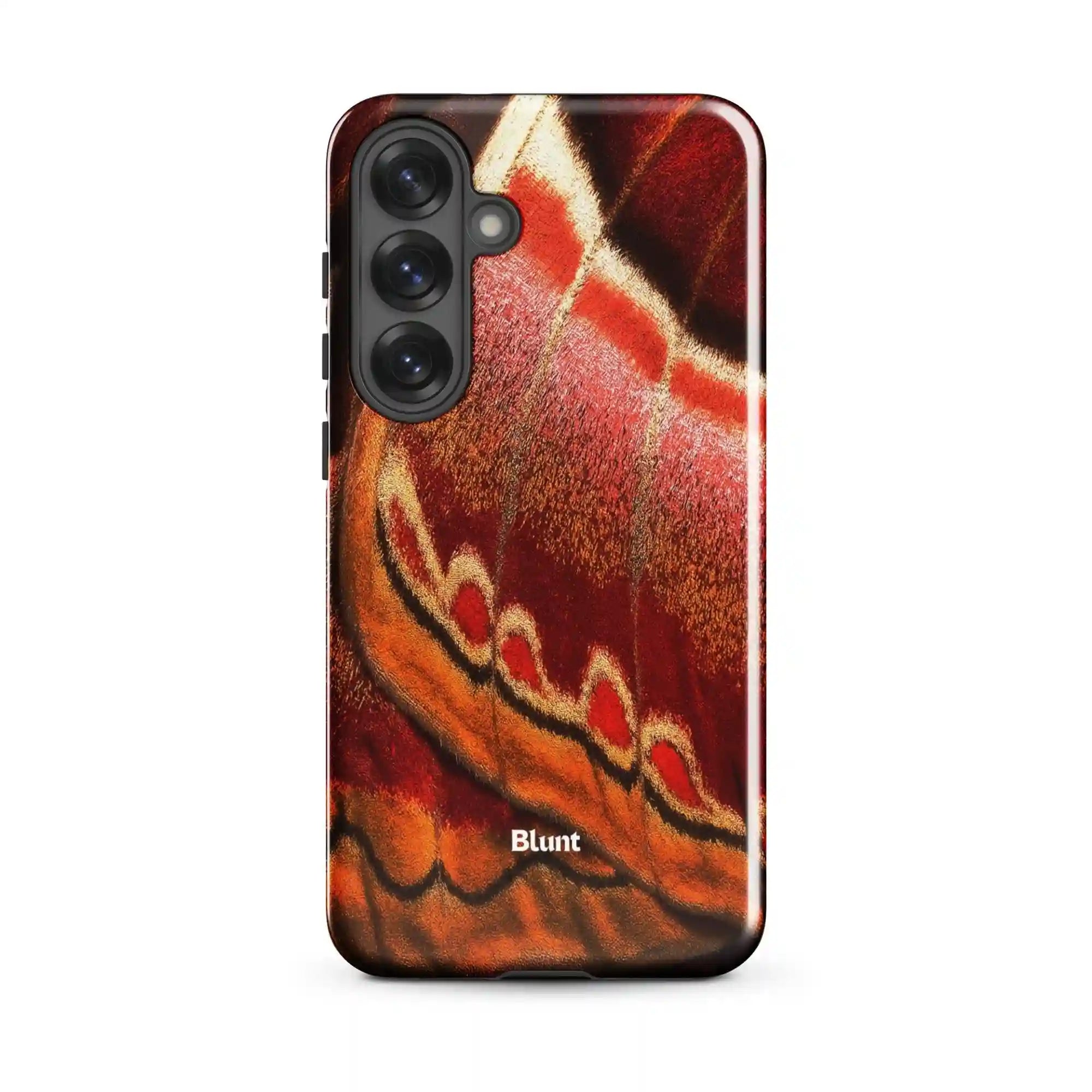 bluntcasesus.it.com