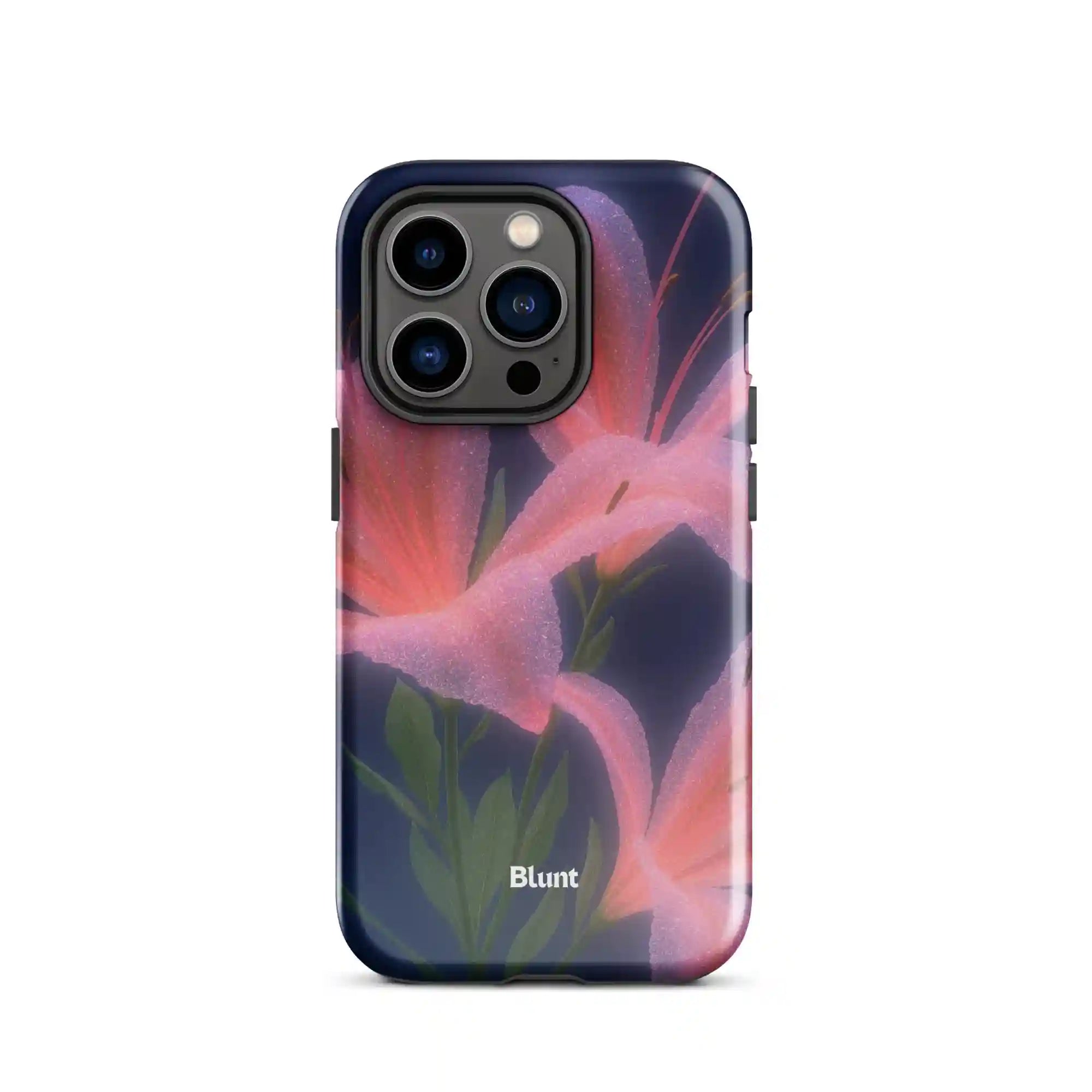 bluntcasesus.it.com