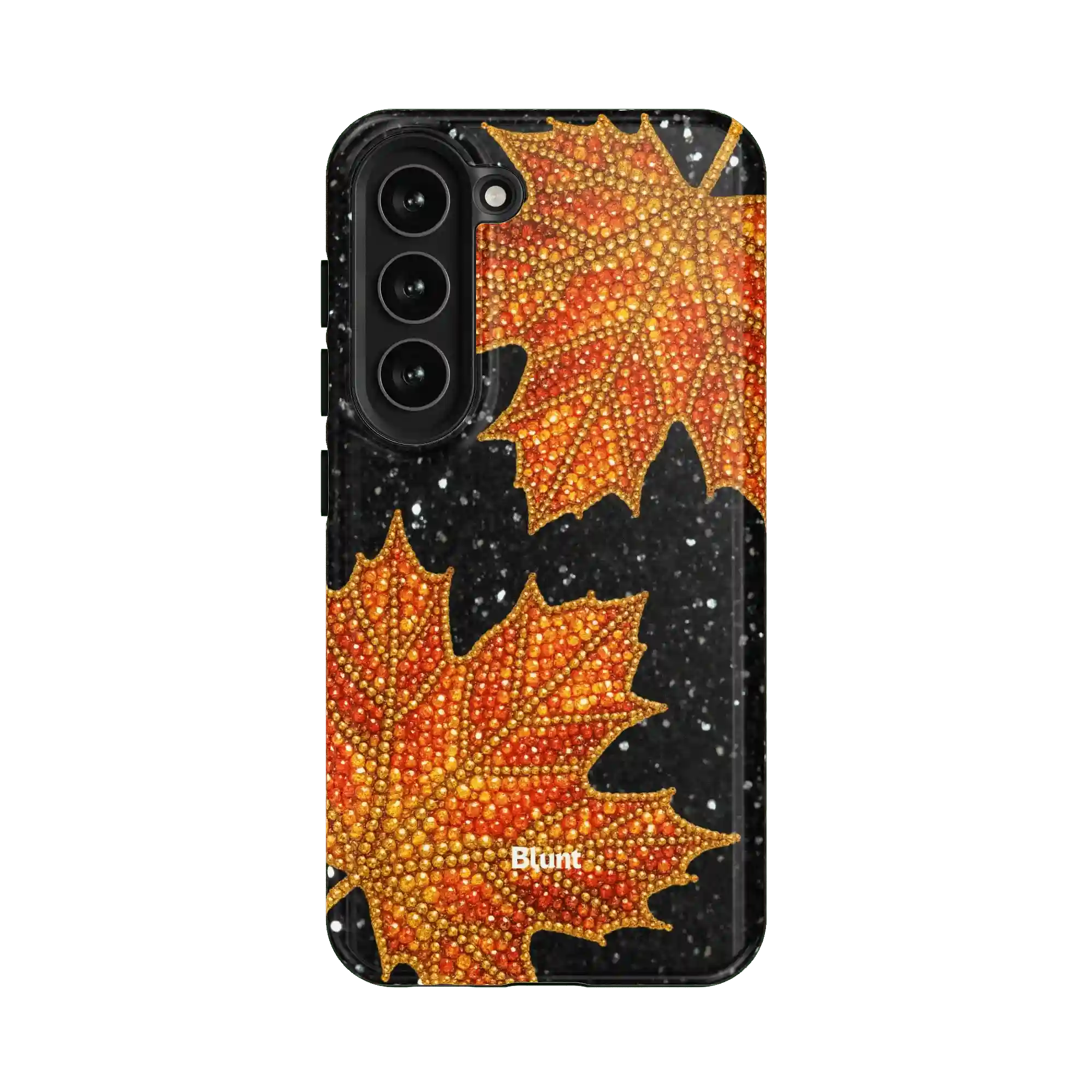 bluntcasesus.it.com