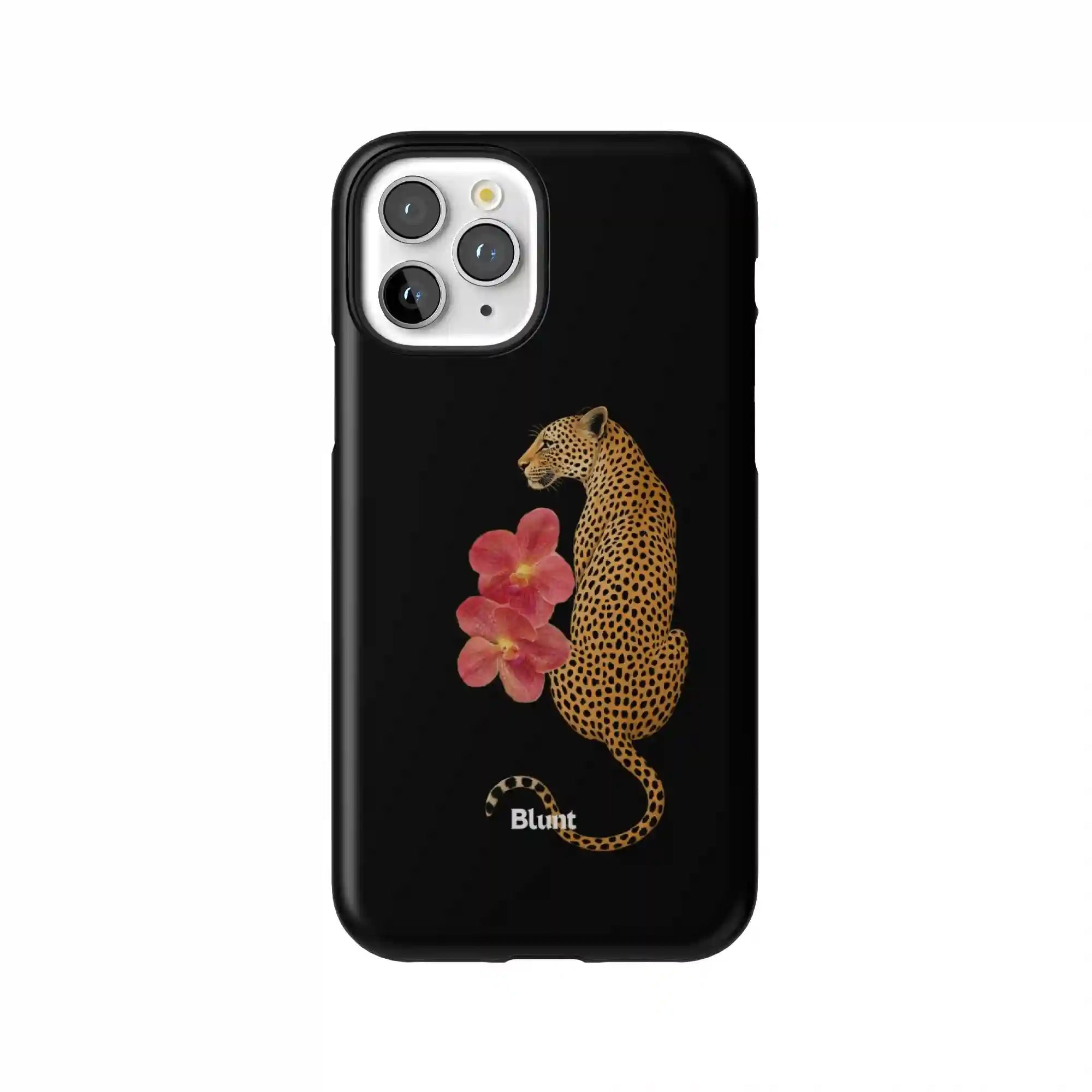 bluntcasesus.it.com